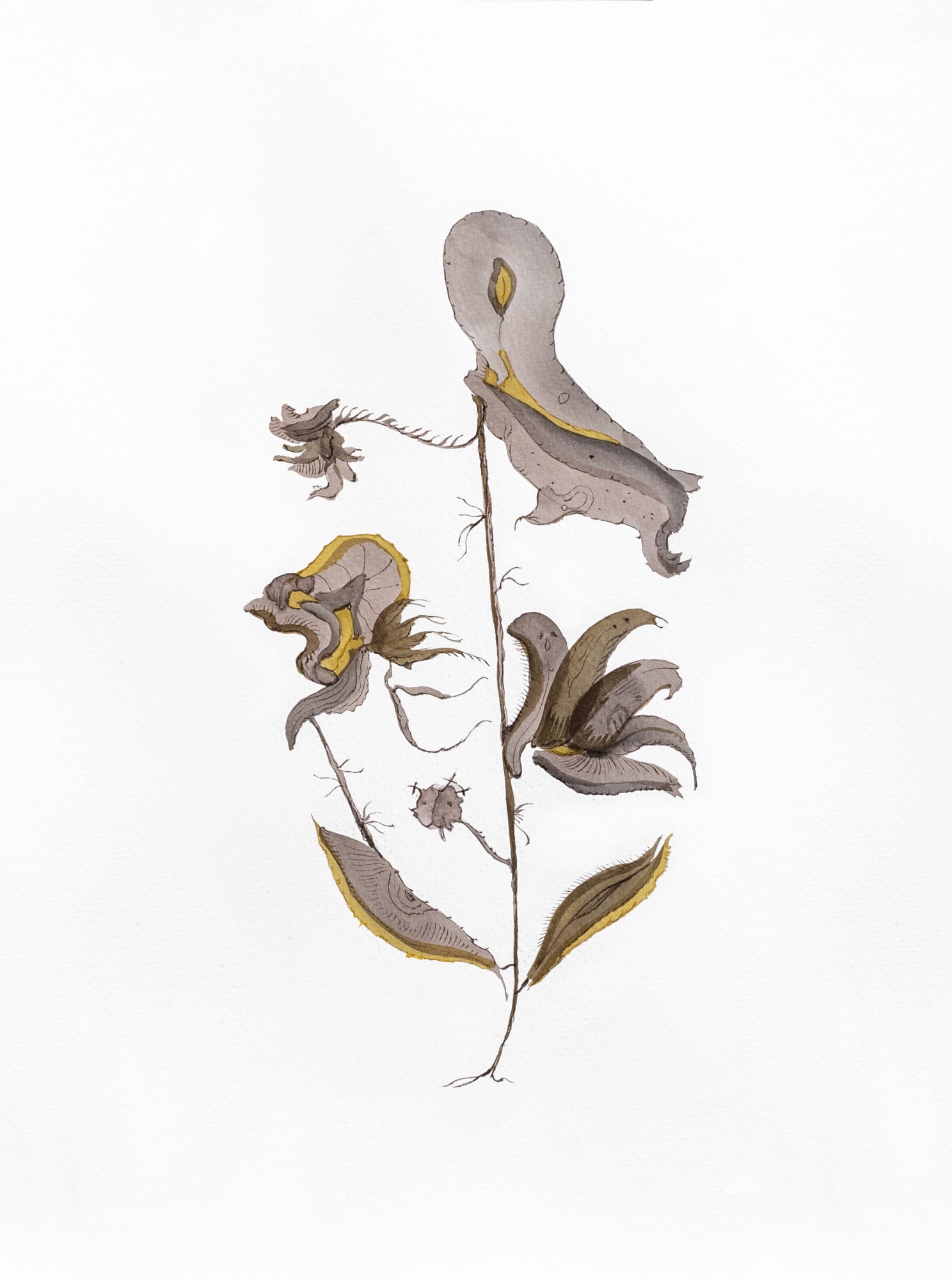 Joanna Kirk, Flowers of the Future XXII, 2021