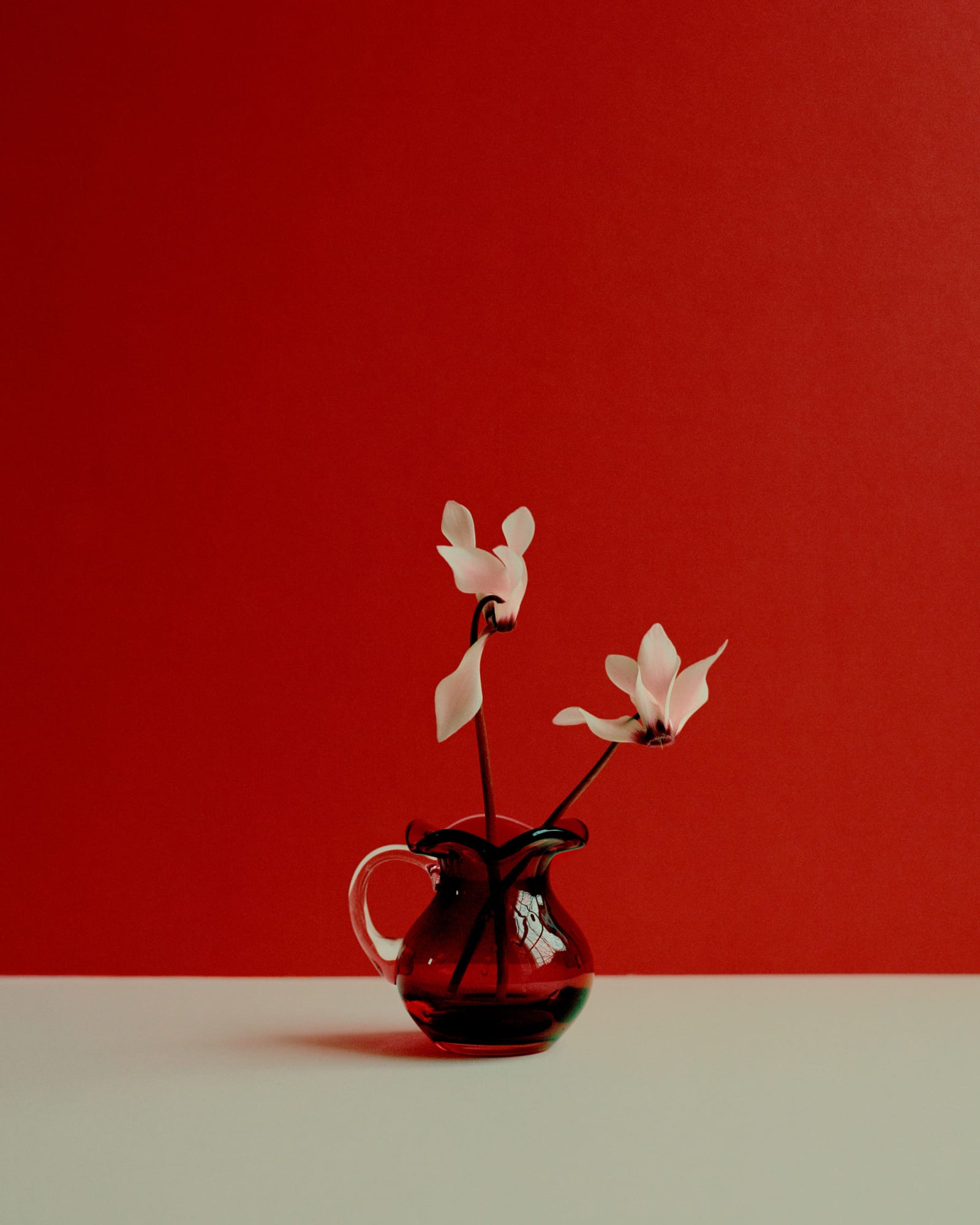 Kate Friend, Georgie Hopton, Cyclamen, London, 2022