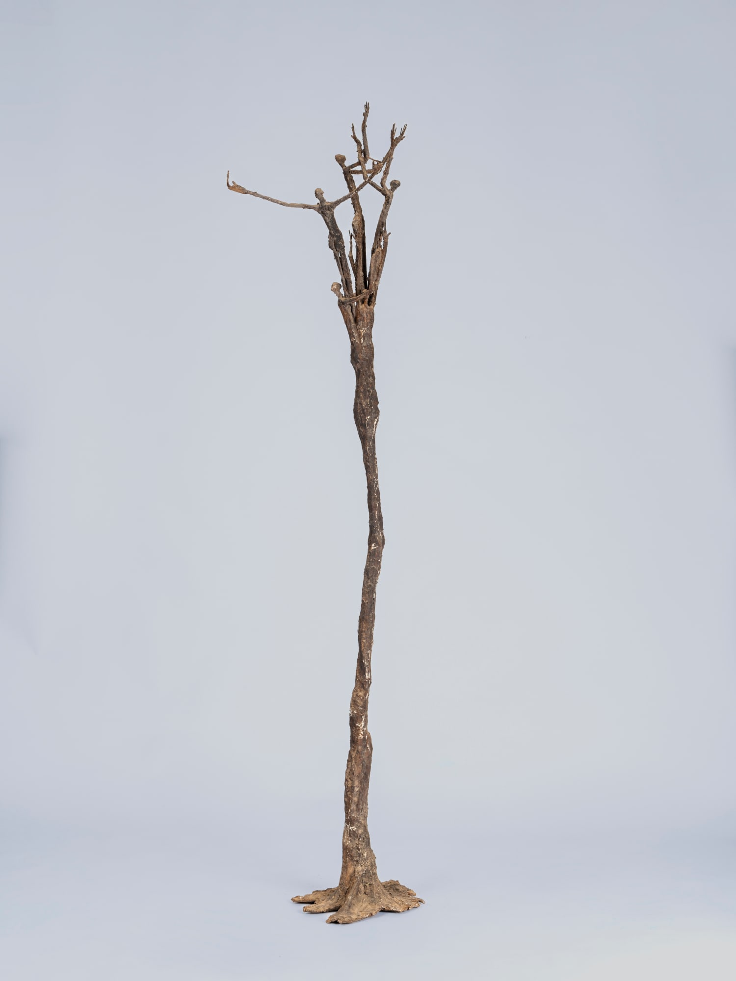 Ndary Lo, Arbre à personnages, 2014
