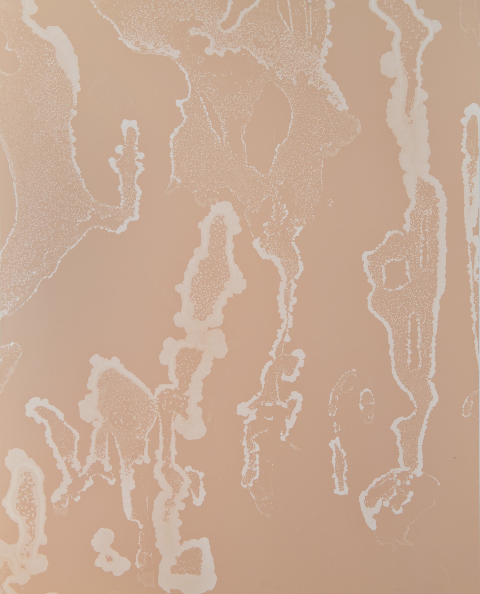 William Lamson, Flow Genesis 2018.07, 2018