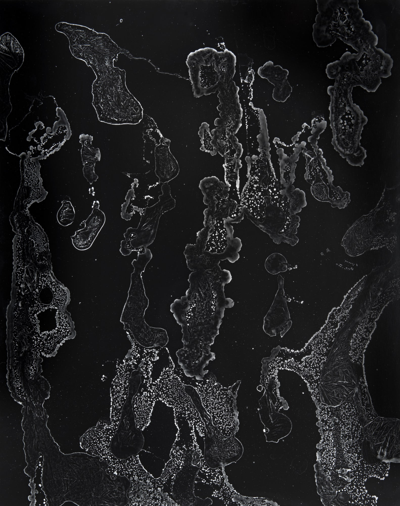 William Lamson, Flow Genesis 2018.08, 2018