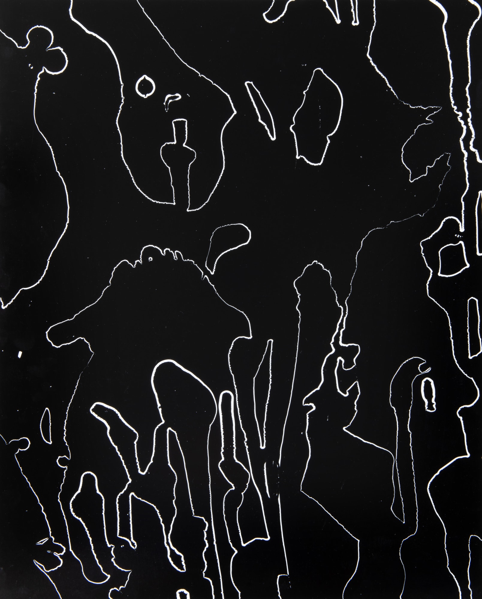 William Lamson, Flow Genesis 2018.09, 2018