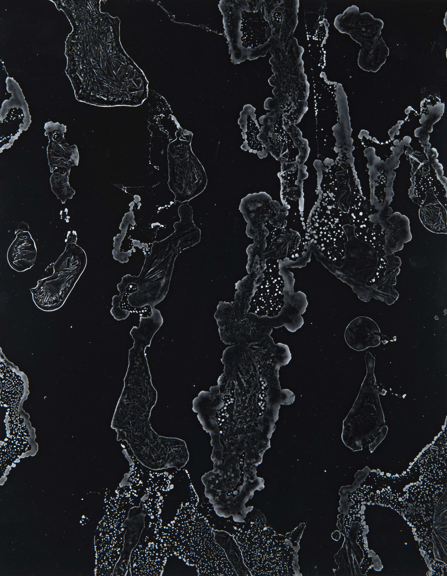 William Lamson, Flow Genesis 2018.11, 2018