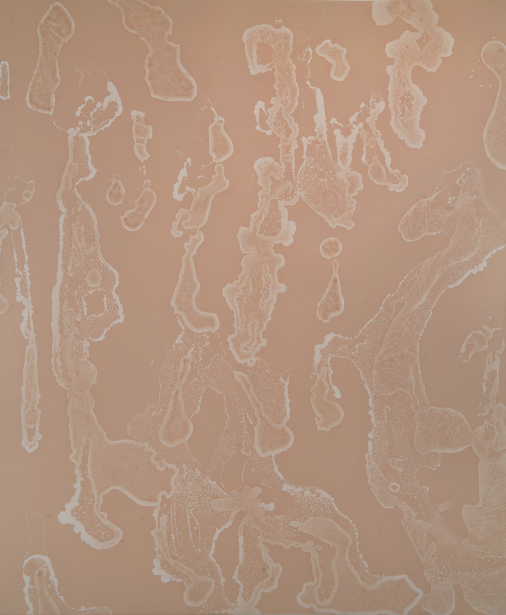 William Lamson, Flow Genesis 2018.04, 2018