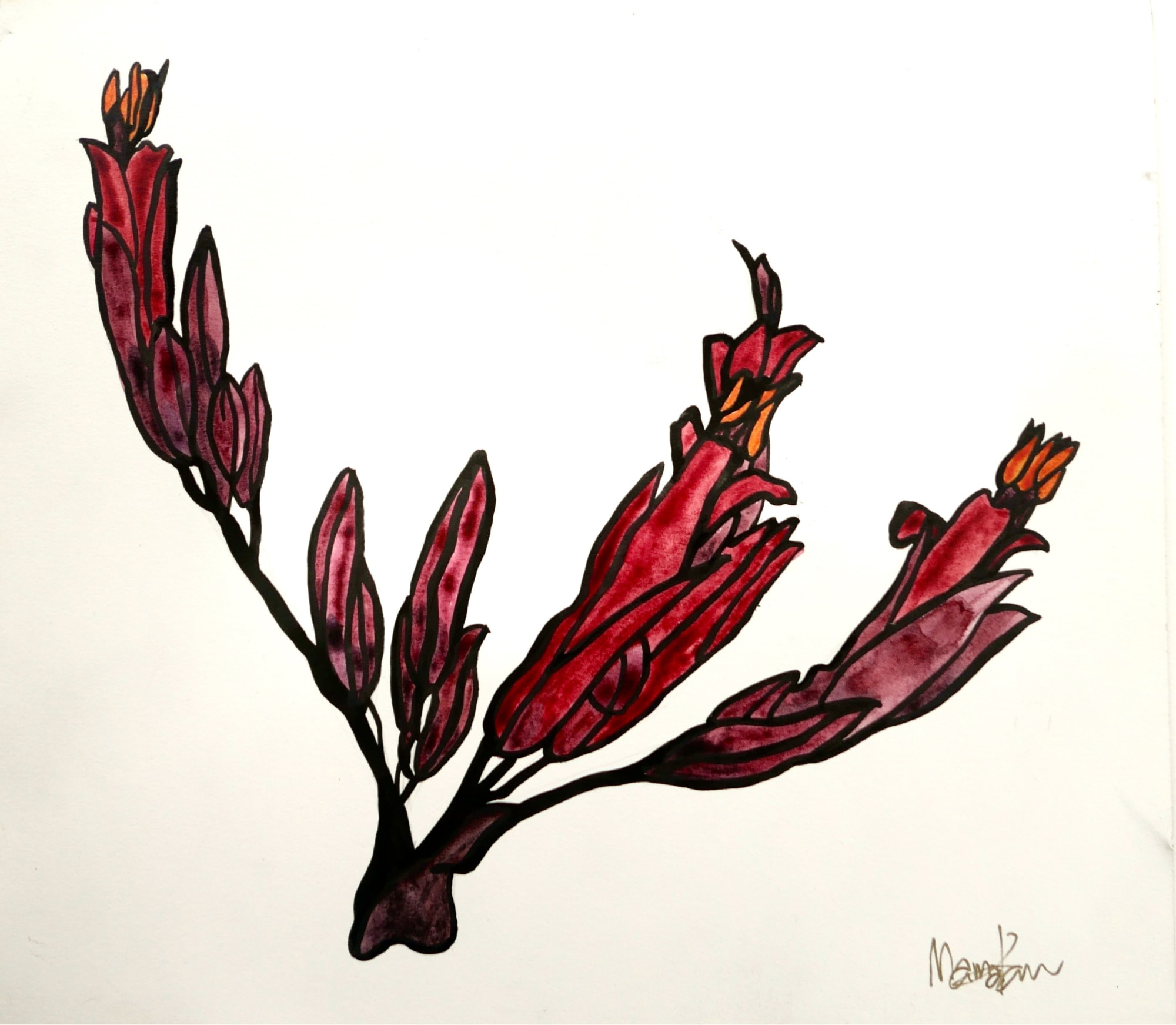 MAMAKAN, Harakeke Two, November, 2022