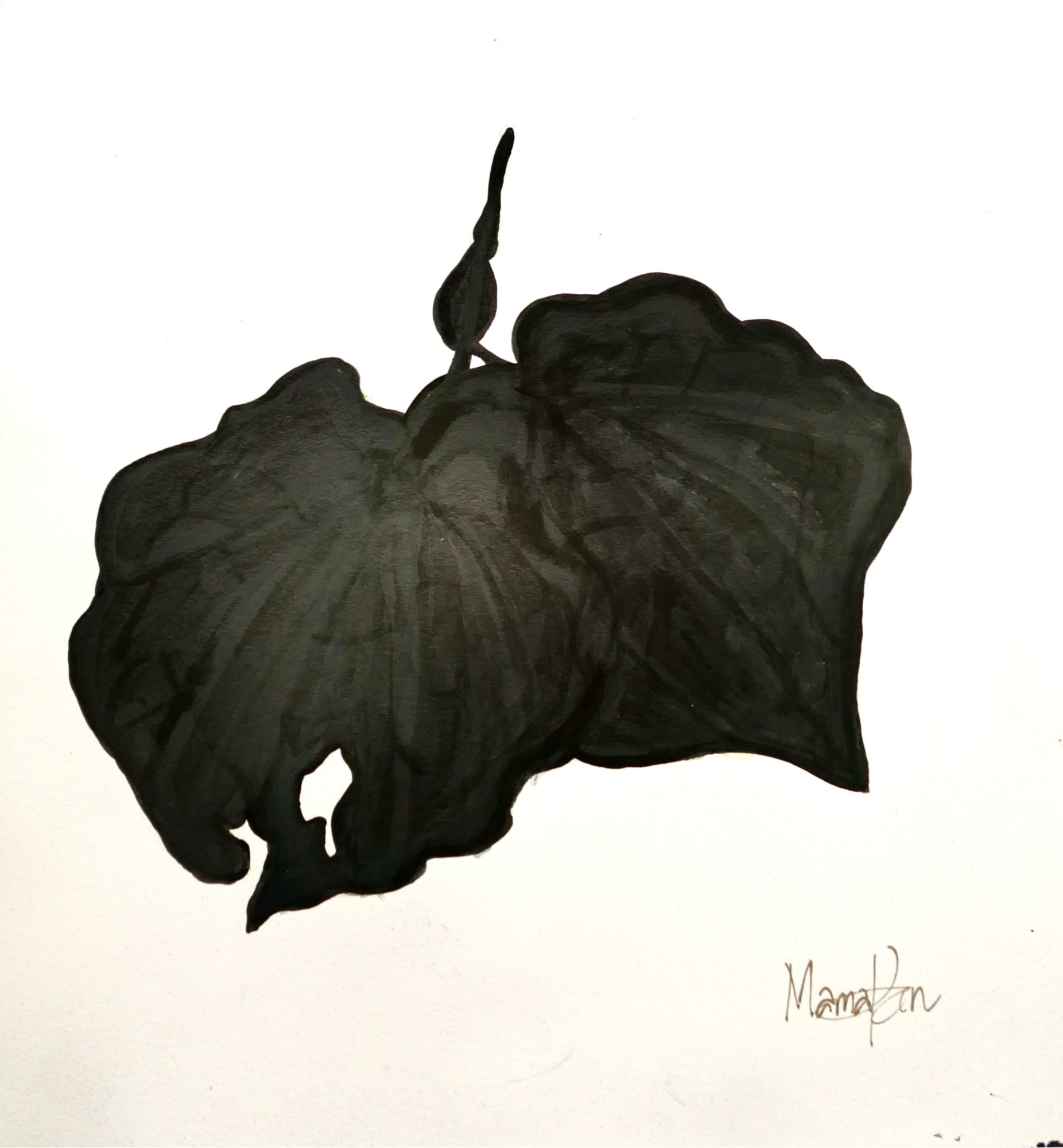 MAMAKAN, Kawakawa Black, November, 2022