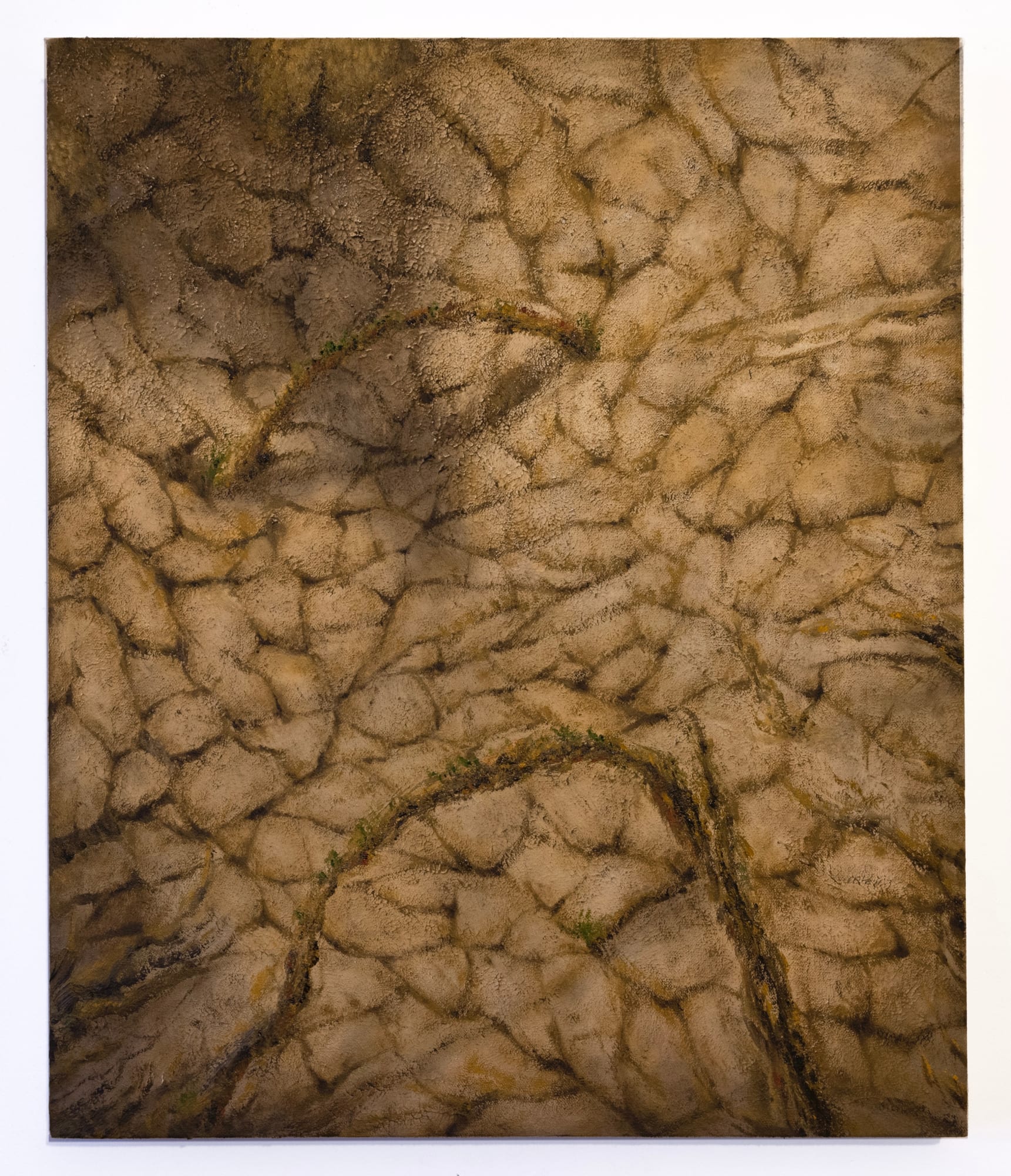 Wenhai Ning, Series II: "Suture", 2022