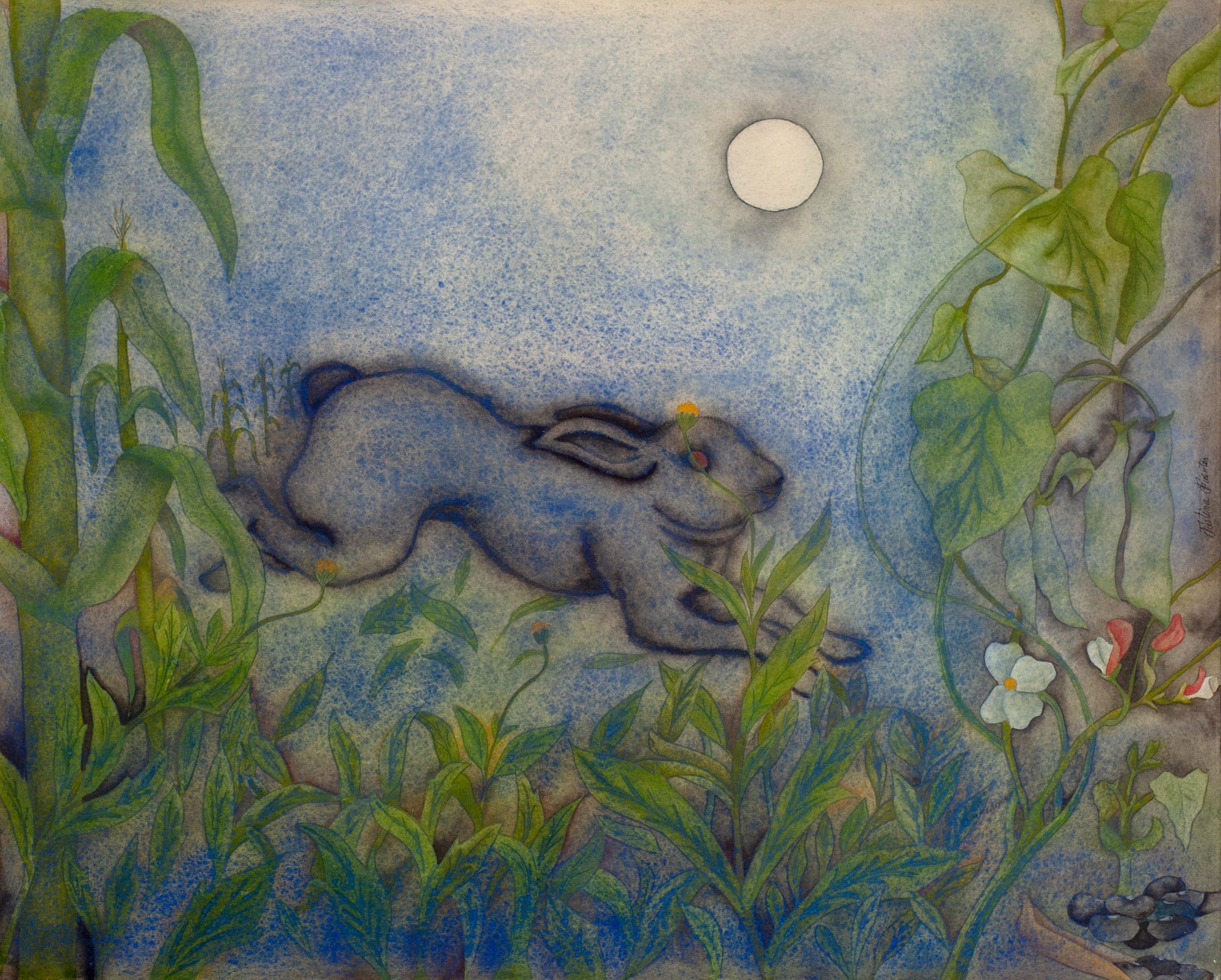 Justina Fuentes, "Conejo (Frijoles con yerba de conejo)", 1996