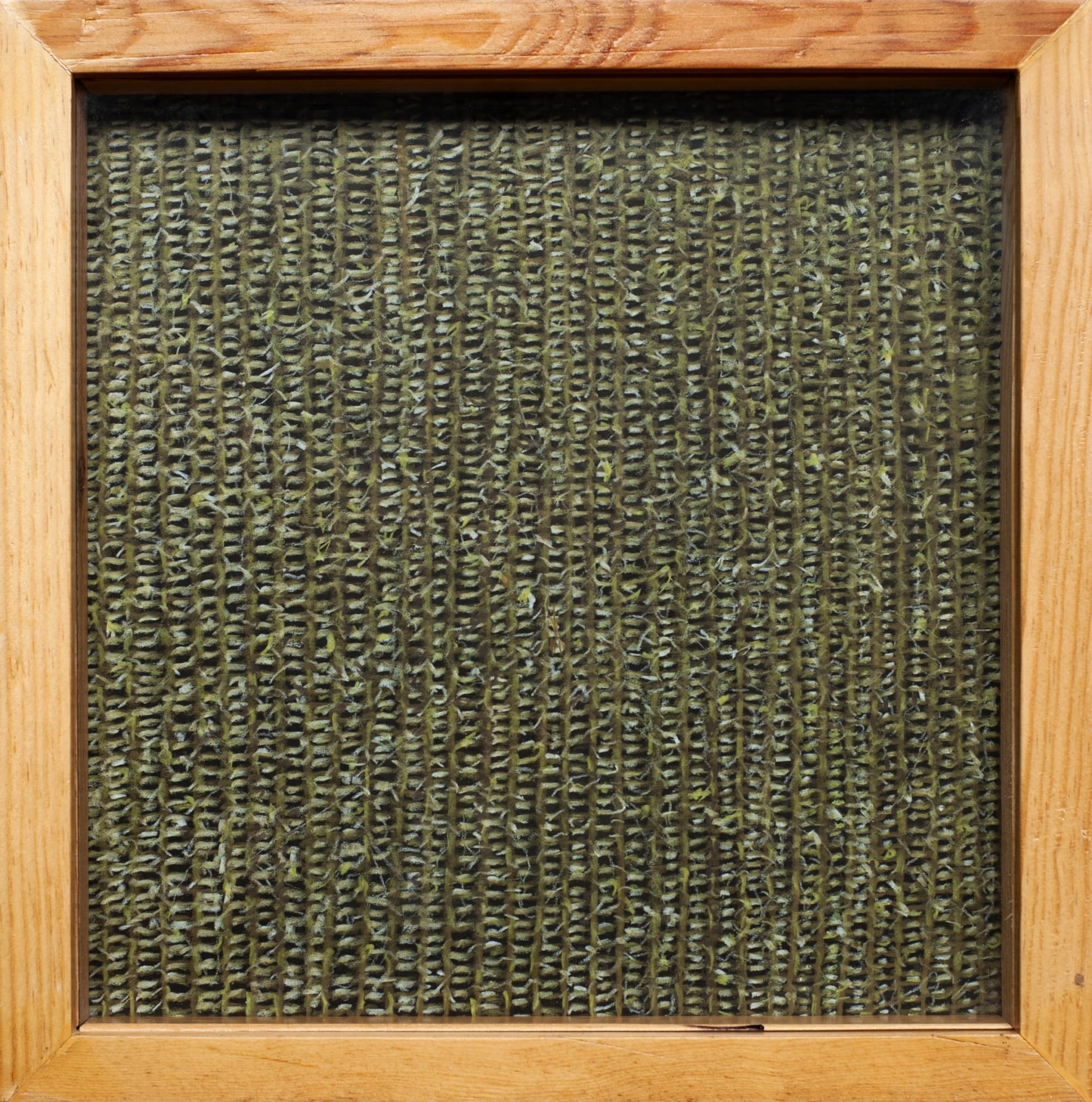 Francisco Morales, "De la serie Defensor de oficio, Telar", 2024