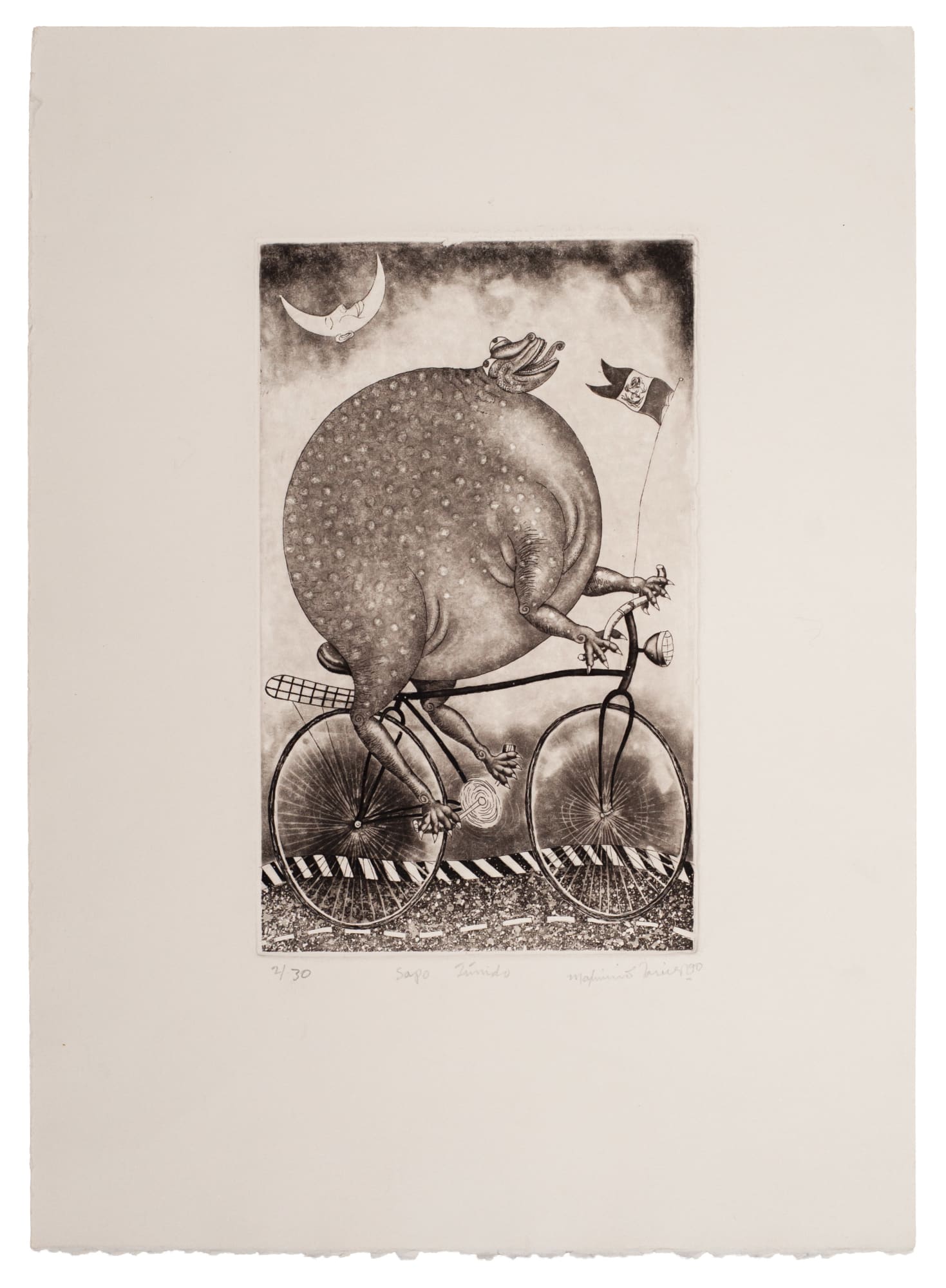 Maximino Javier, "Sapo tímido", 1990