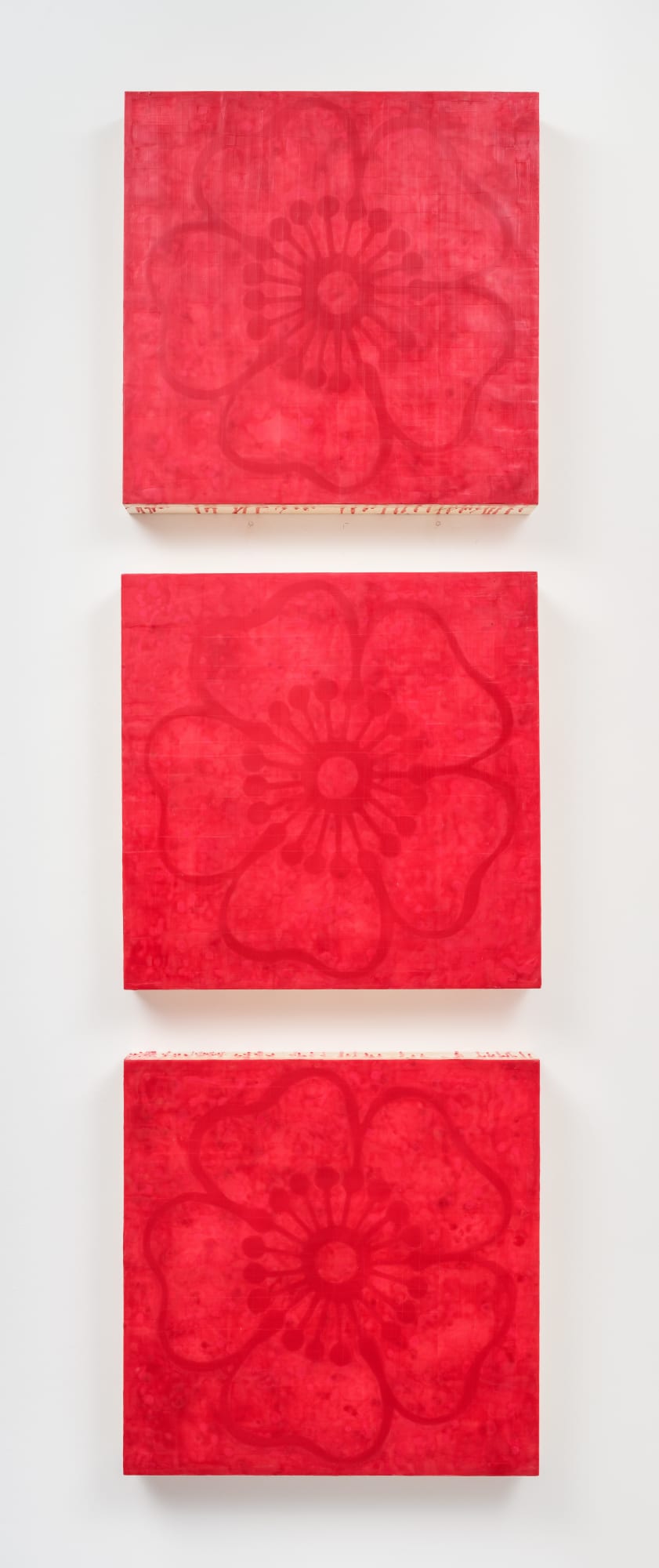 Mitchell Anderson, Flowers , 2021