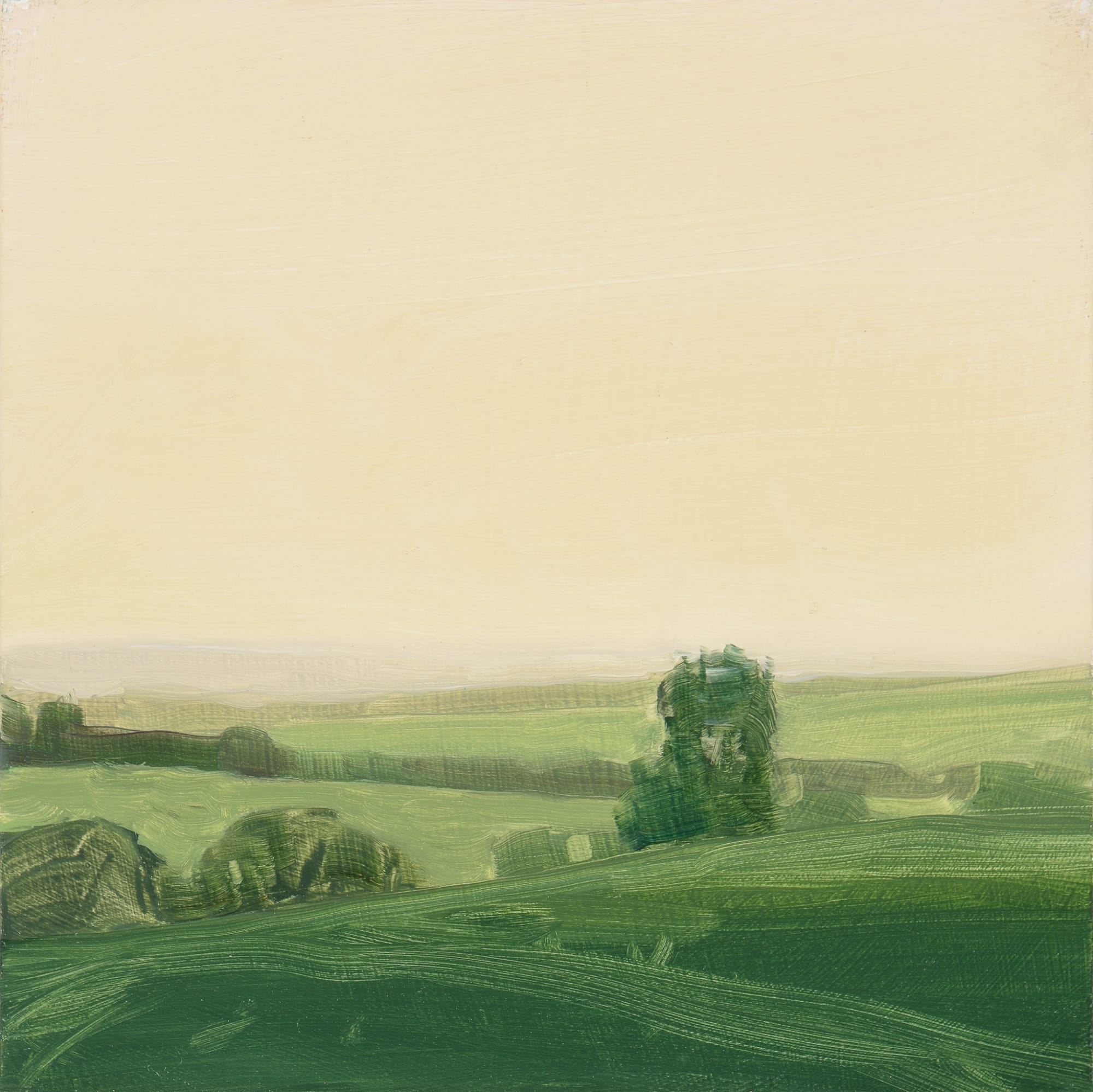 Sara MacCulloch, Dusk, England, 2009