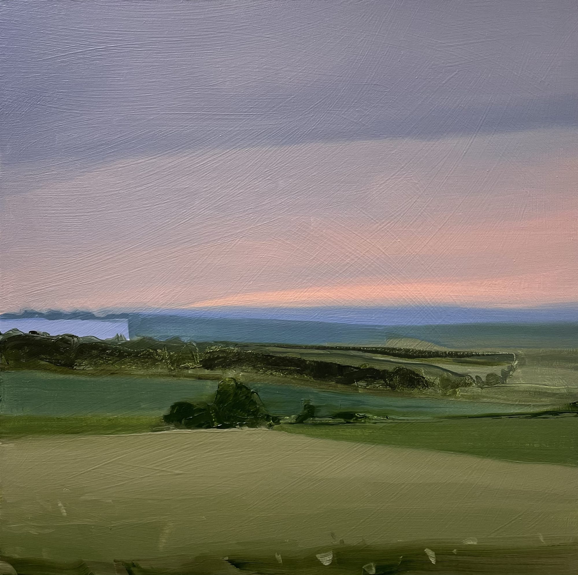 Sara MacCulloch, Just after the rain , 2021