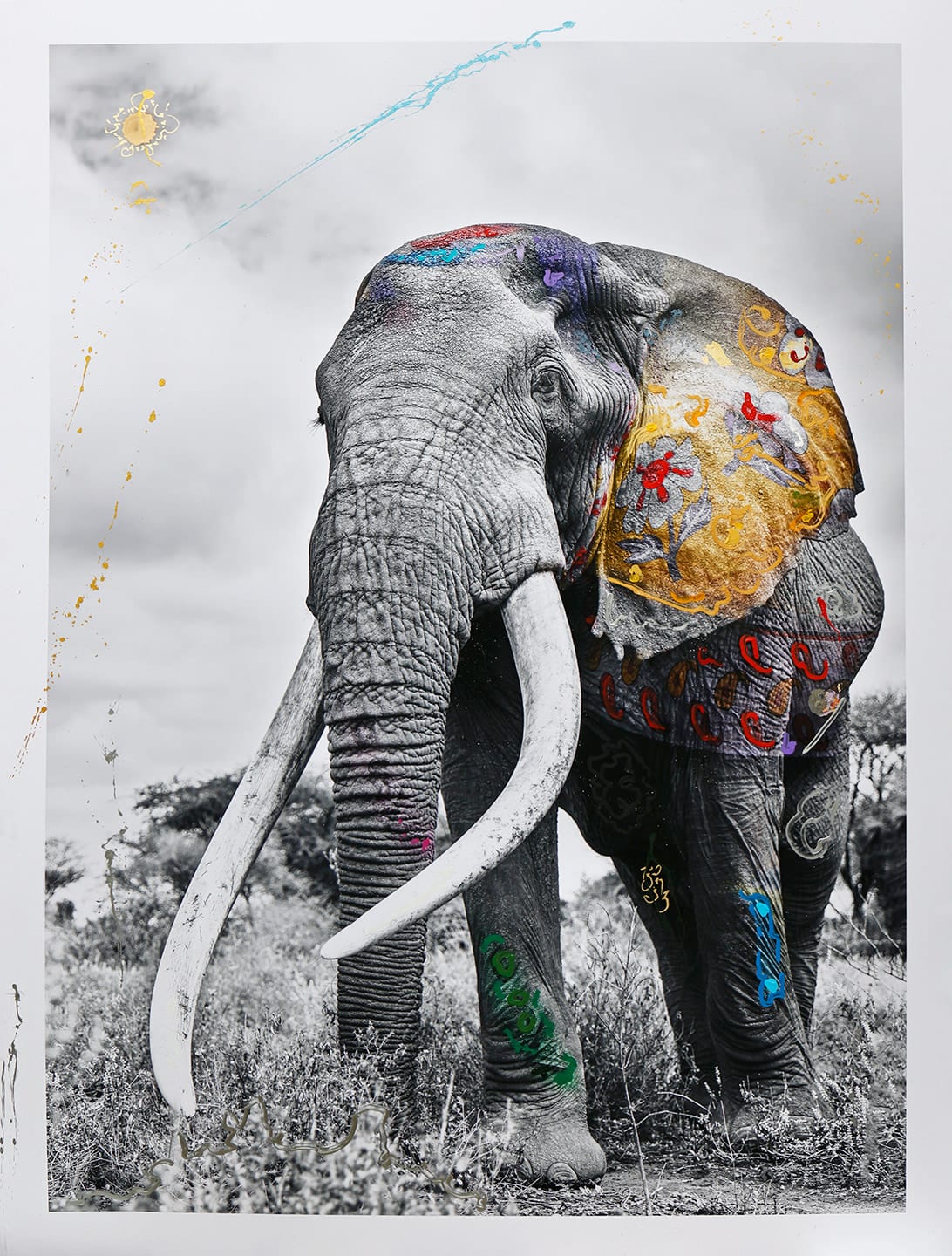 Arno Elias, Kalasha 1/6, 2021