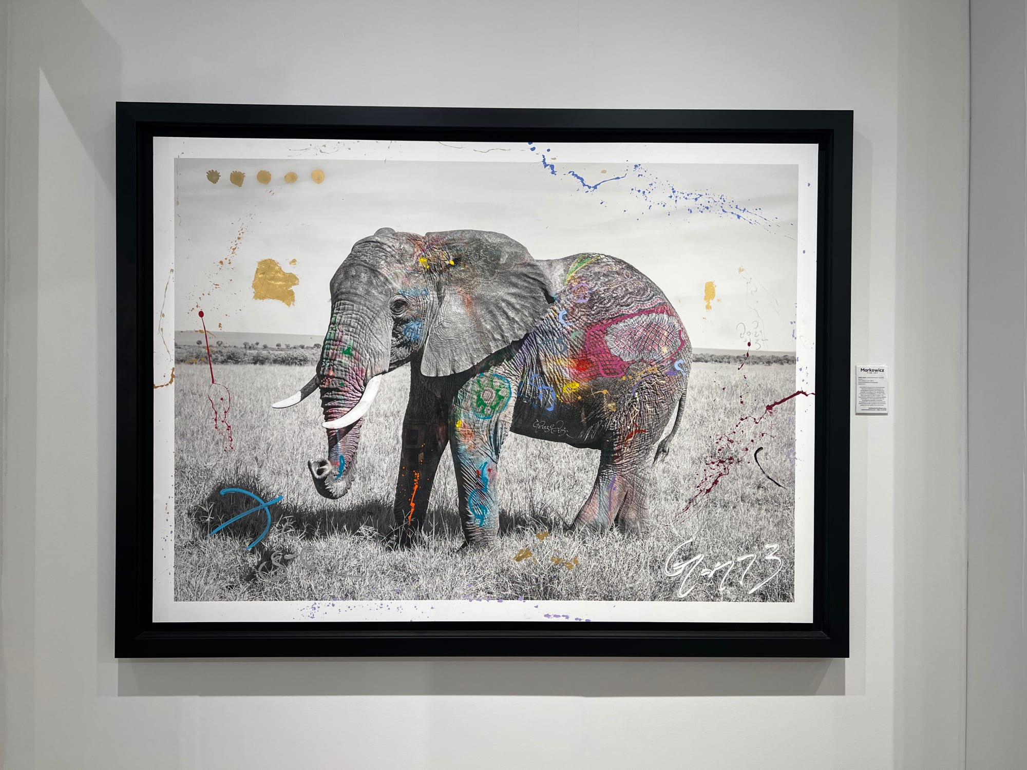 Arno Elias, Tembo 7 - 4/6, 2015