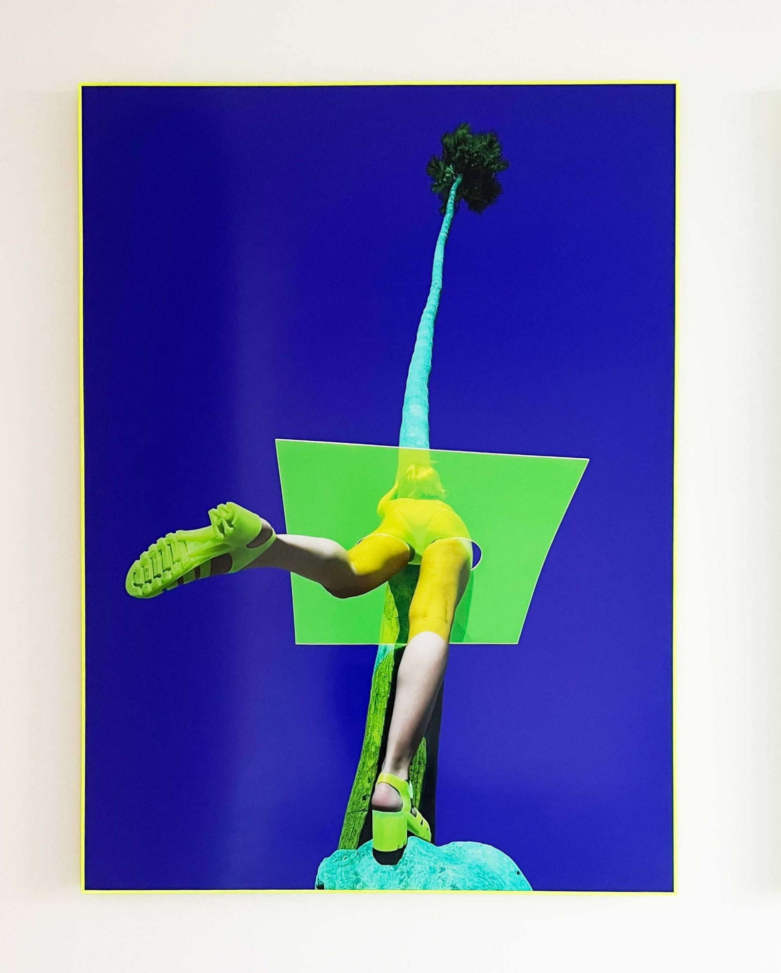 Reine Paradis, Palmsquare (Large), 2018