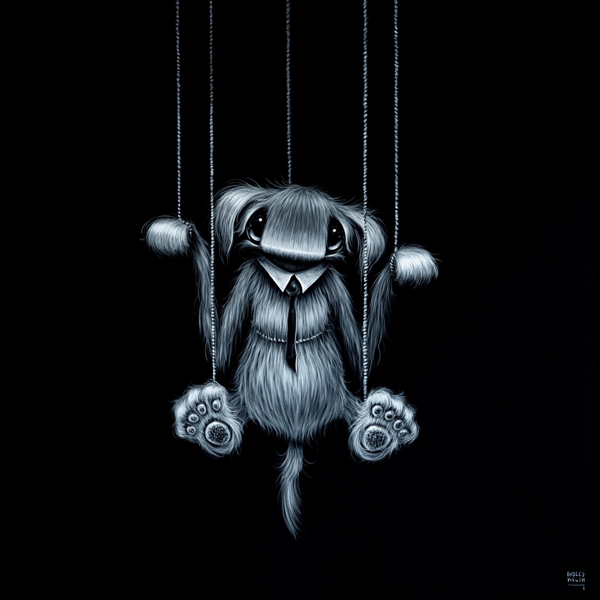 Hayley Welsh, Own Your Strings