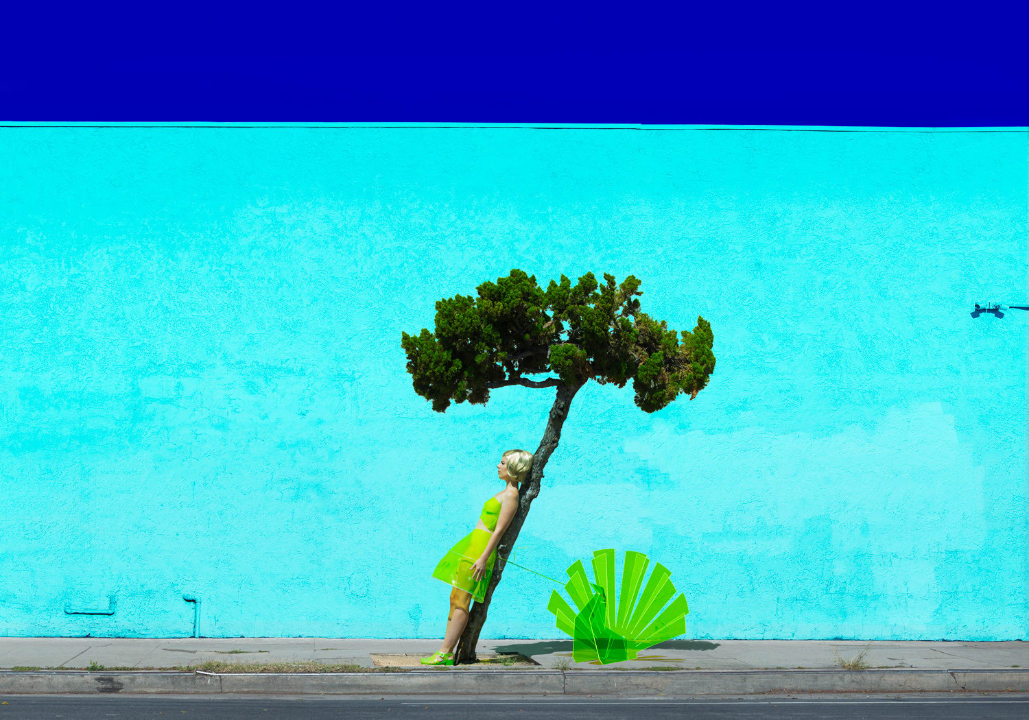 Reine Paradis, Peacock (Medium), 2018