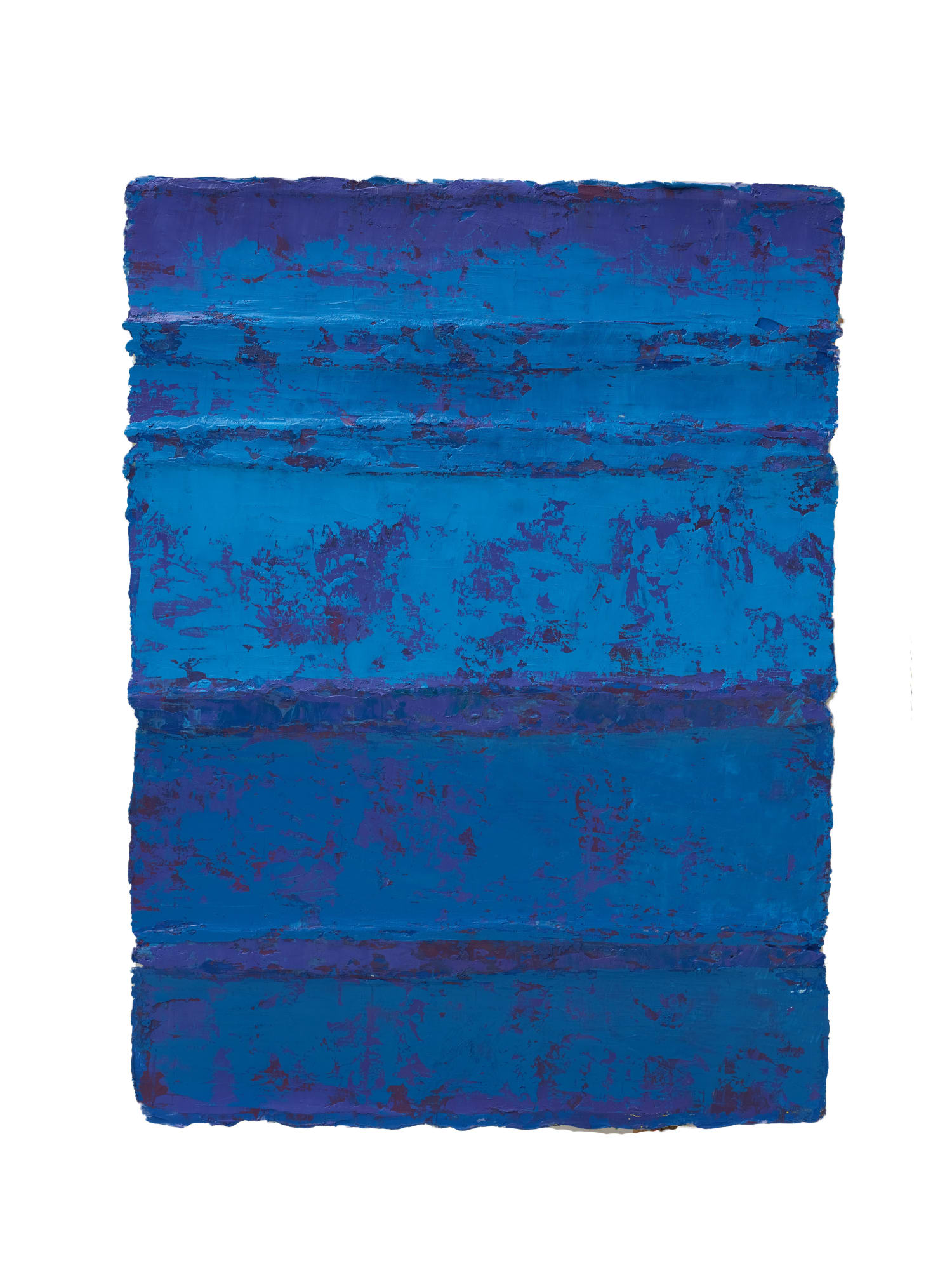 Robbert Fortgens, ZT, Blauw/Paars, 2024