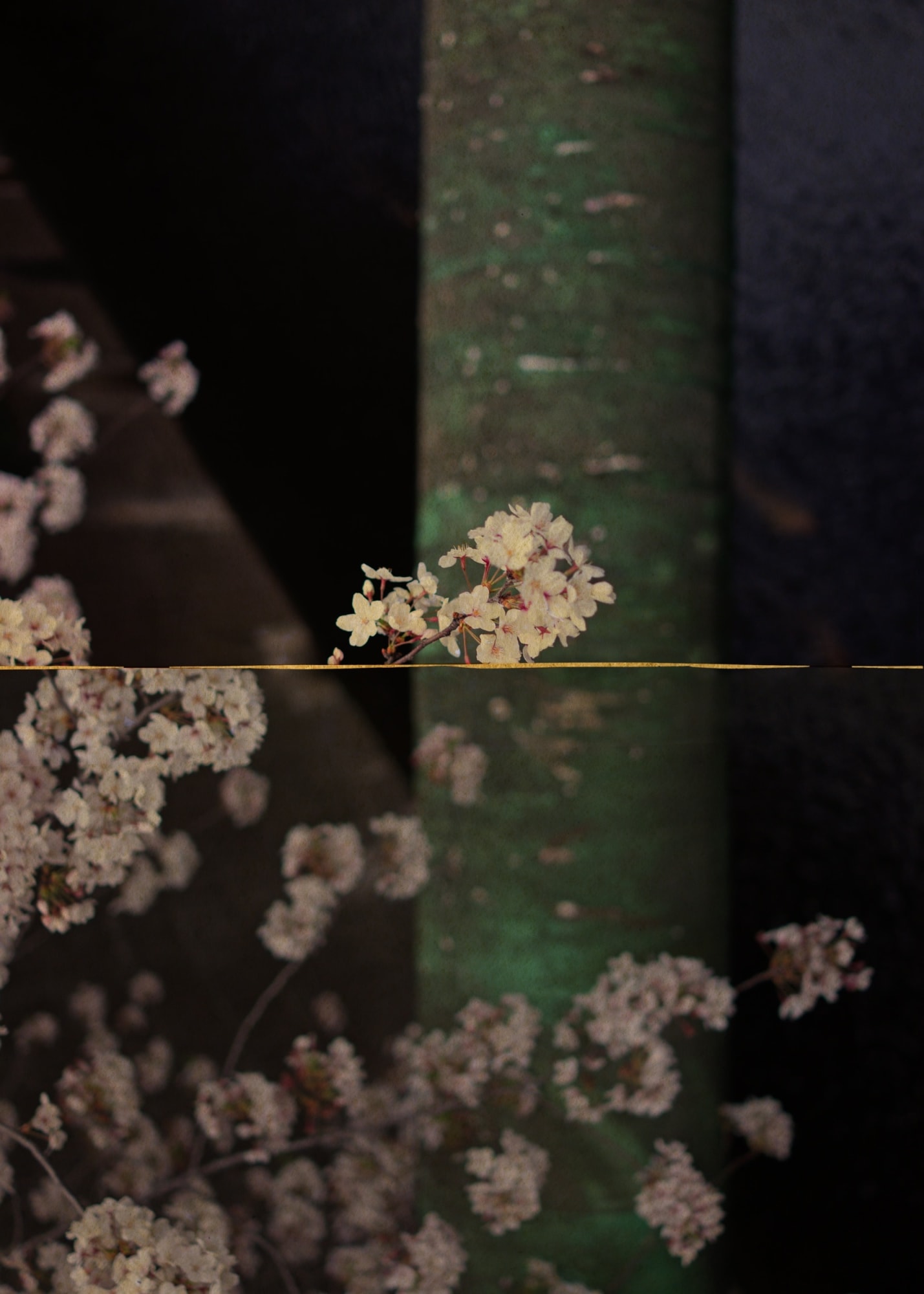 Albarrán Cabrera, Kairos, #4003, 2013