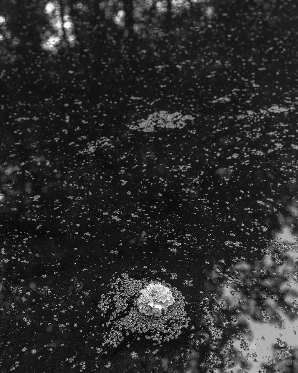 Donavon Smallwood, Untitled #18, 2020