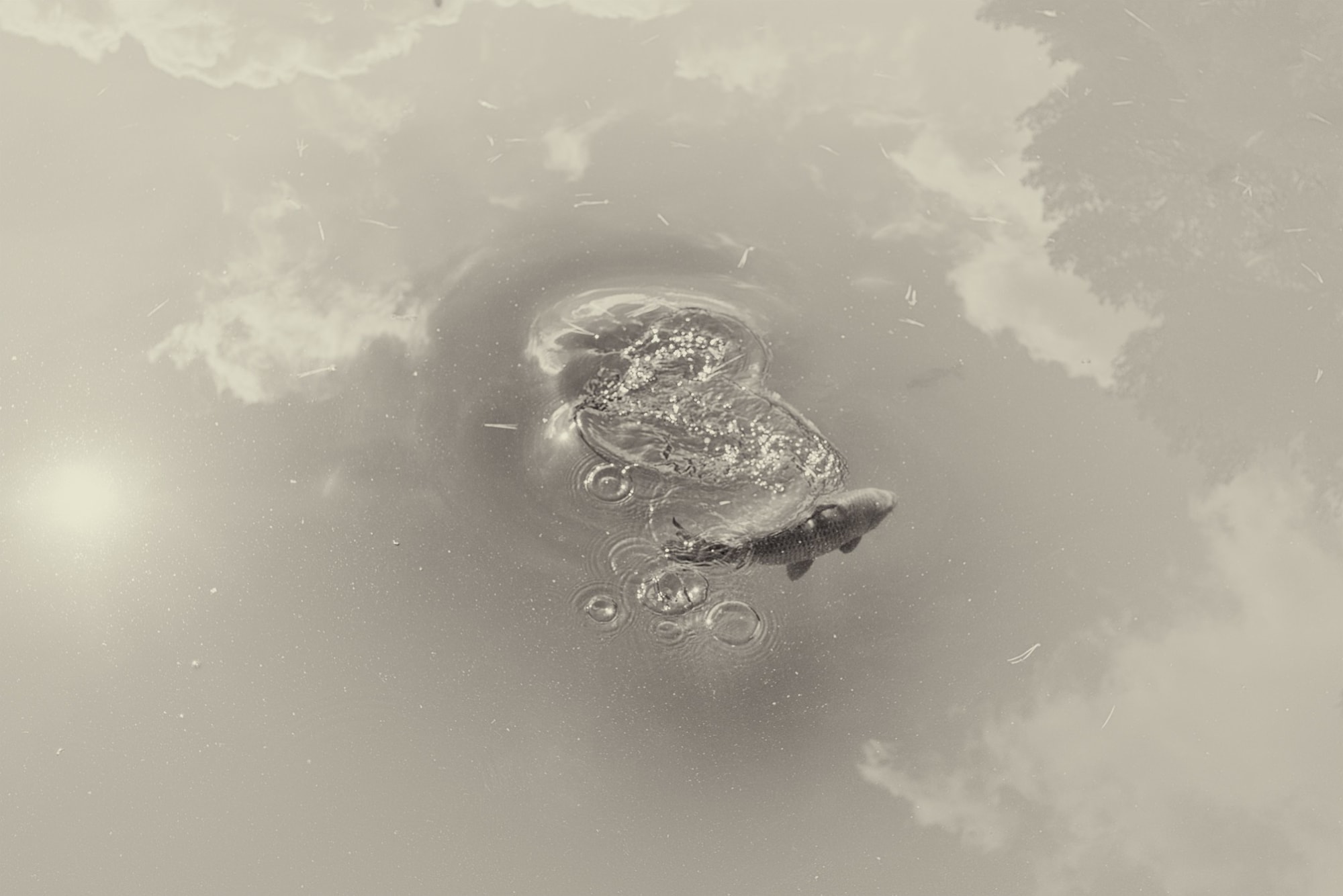 Albarrán Cabrera, The Mouth of Krishna #163, 2012