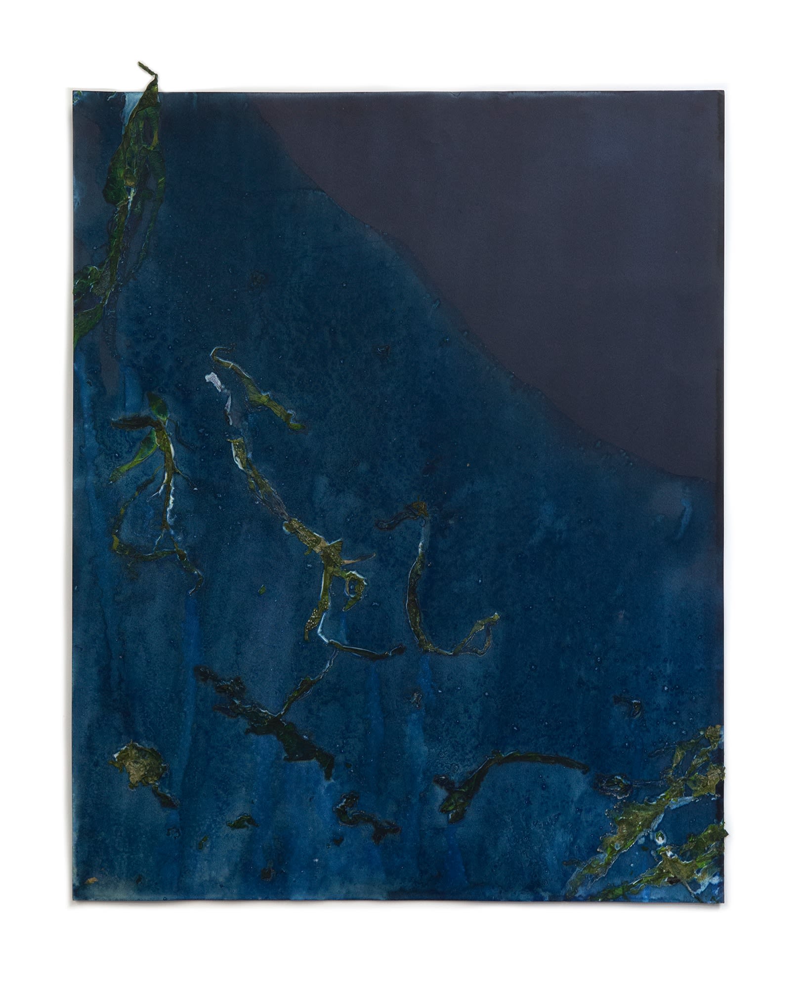 Meghann Riepenhoff, For Anna, Vol. II, Plate 21, 2017