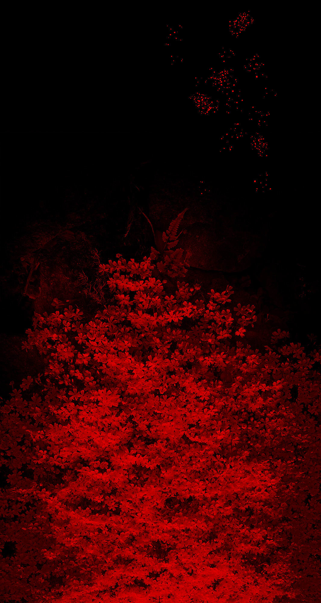 Albarrán Cabrera, The Mouth of Krishna, #921, 2014