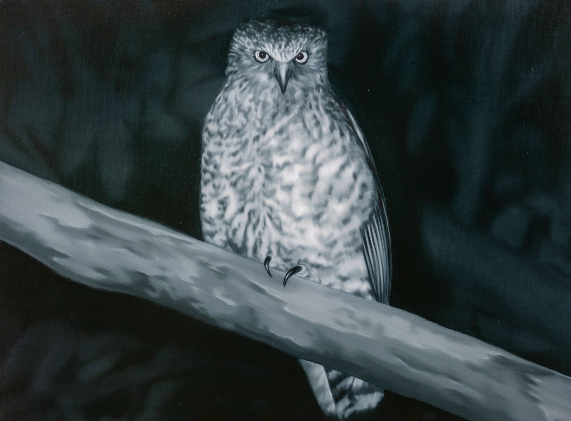 Tony Lloyd, Powerful Owl, 2023