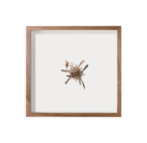 Daniel Agdag, The Prop, 2024