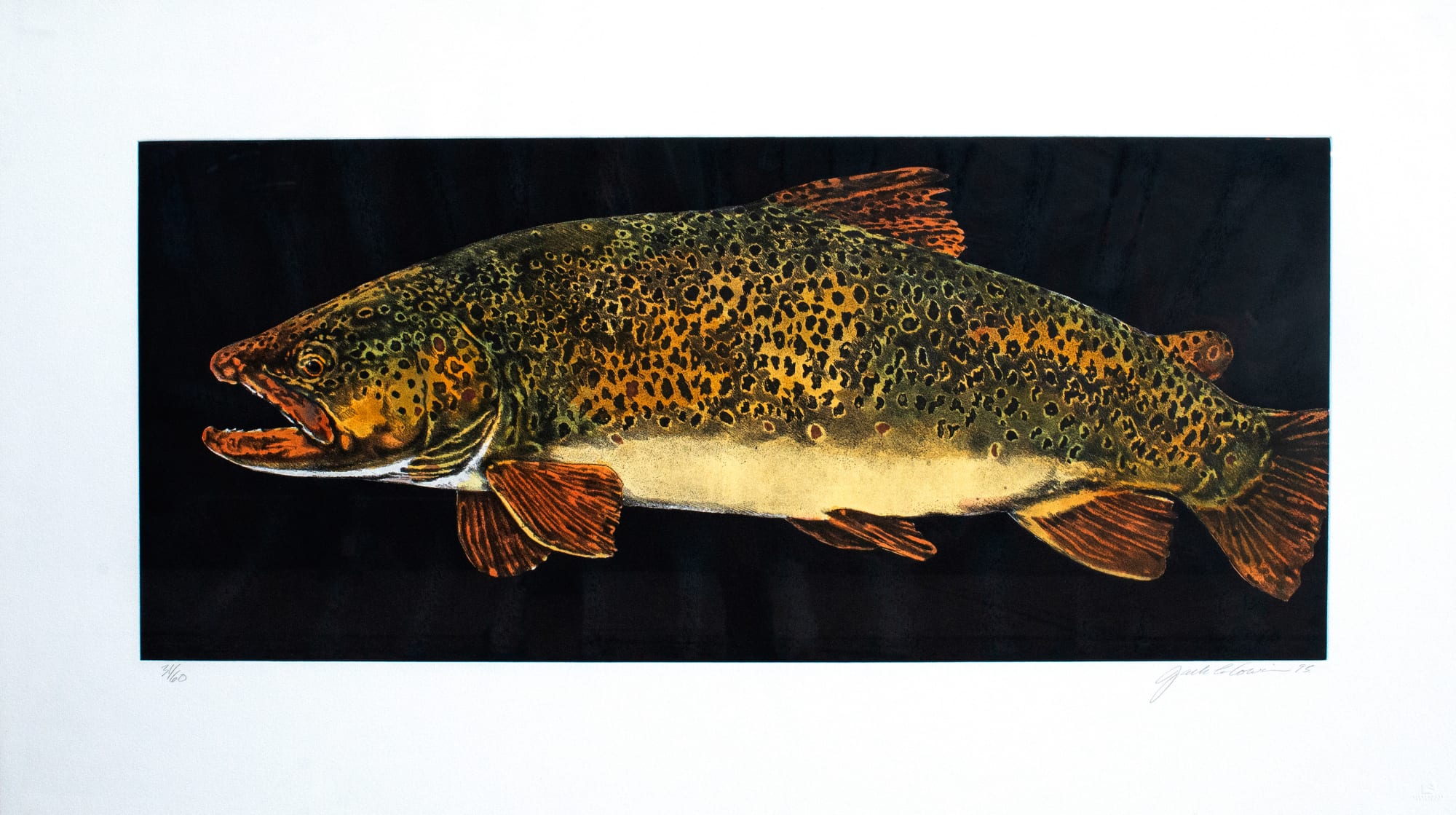 Jack Cowin, Brown Trout