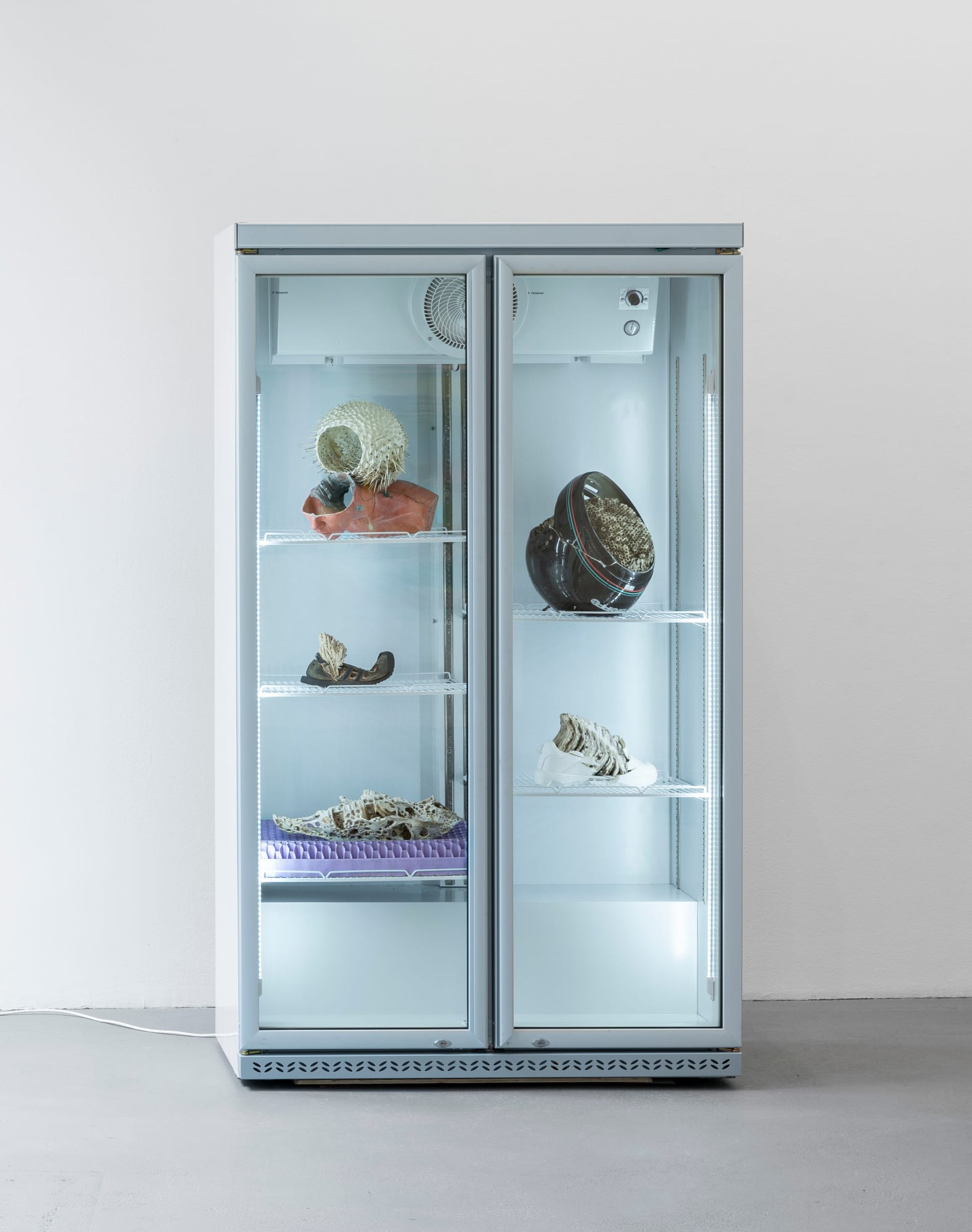 Nicolás Lamas, Untitled, 2023