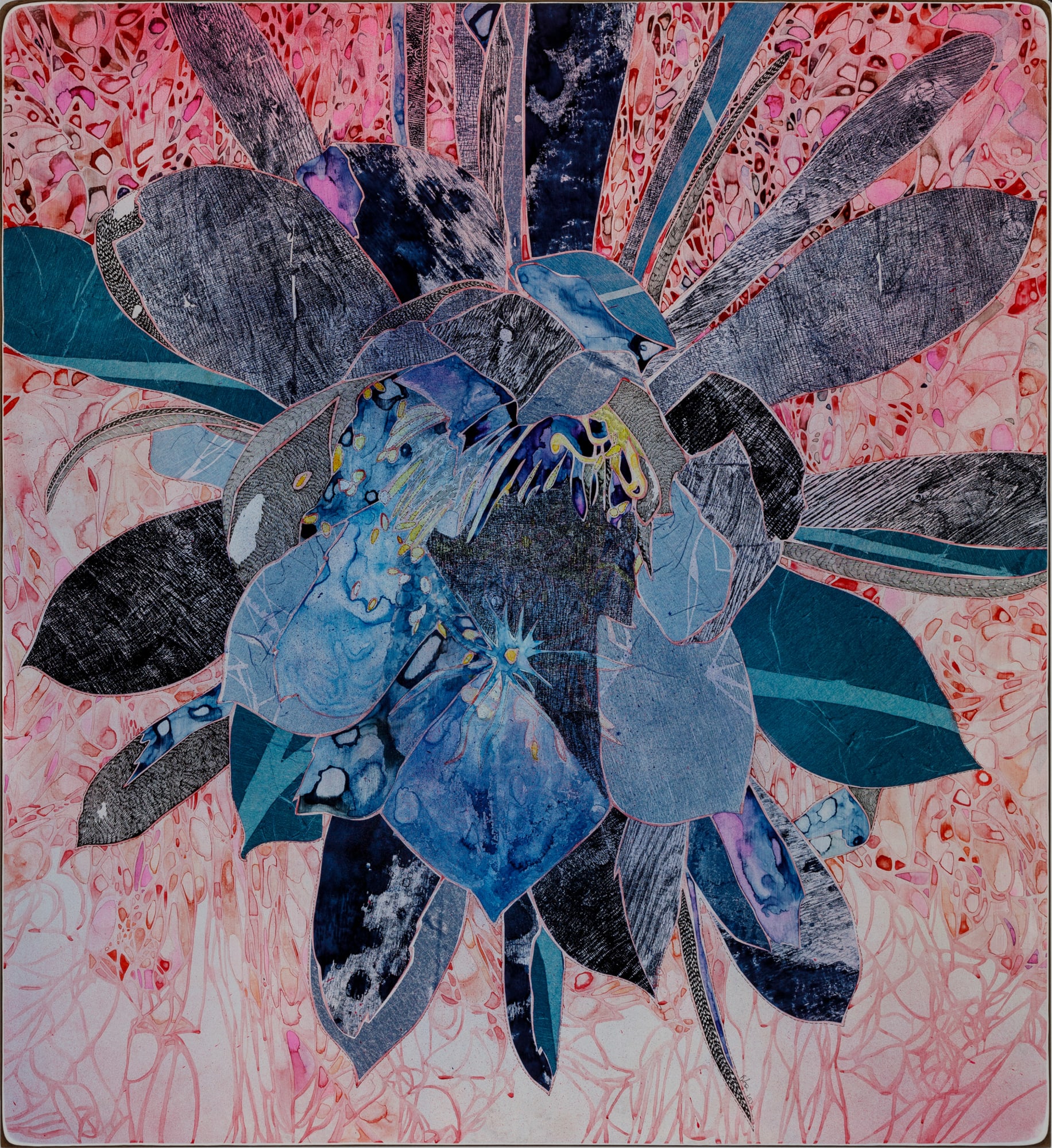 Belinda Fox, Illuminate