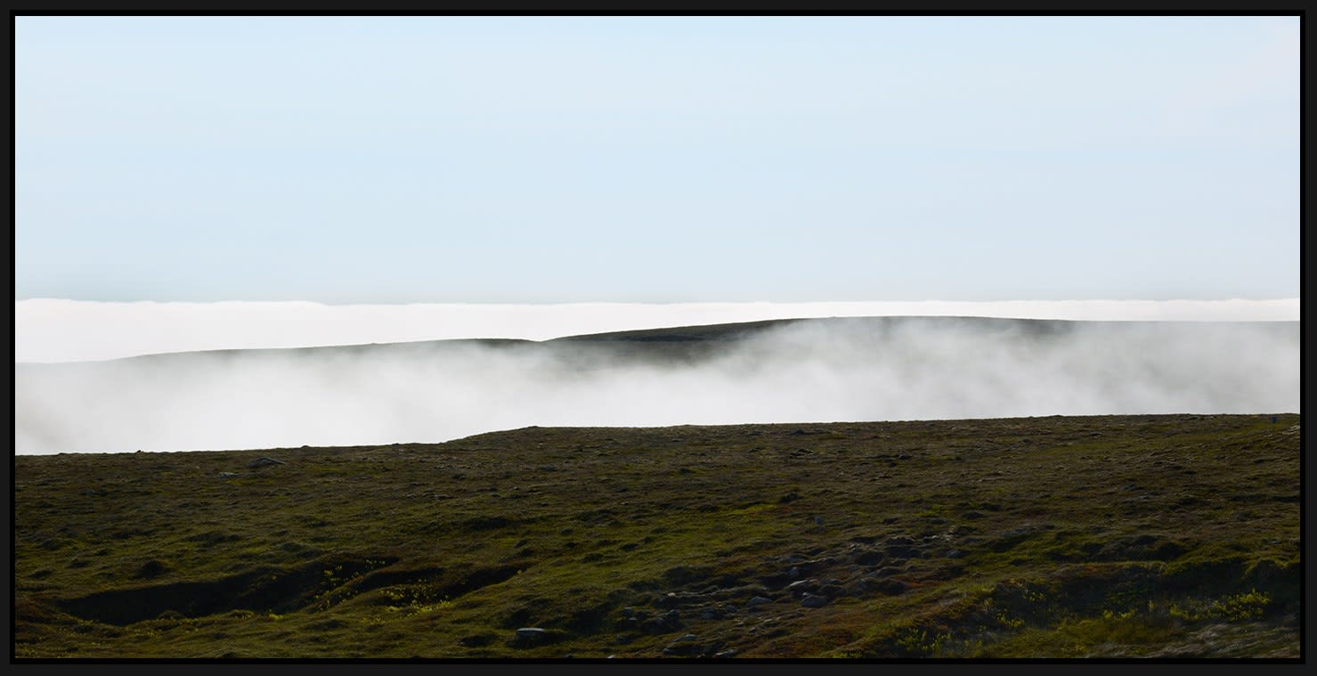 Ned Pratt, The Barrens in Spring, 2022