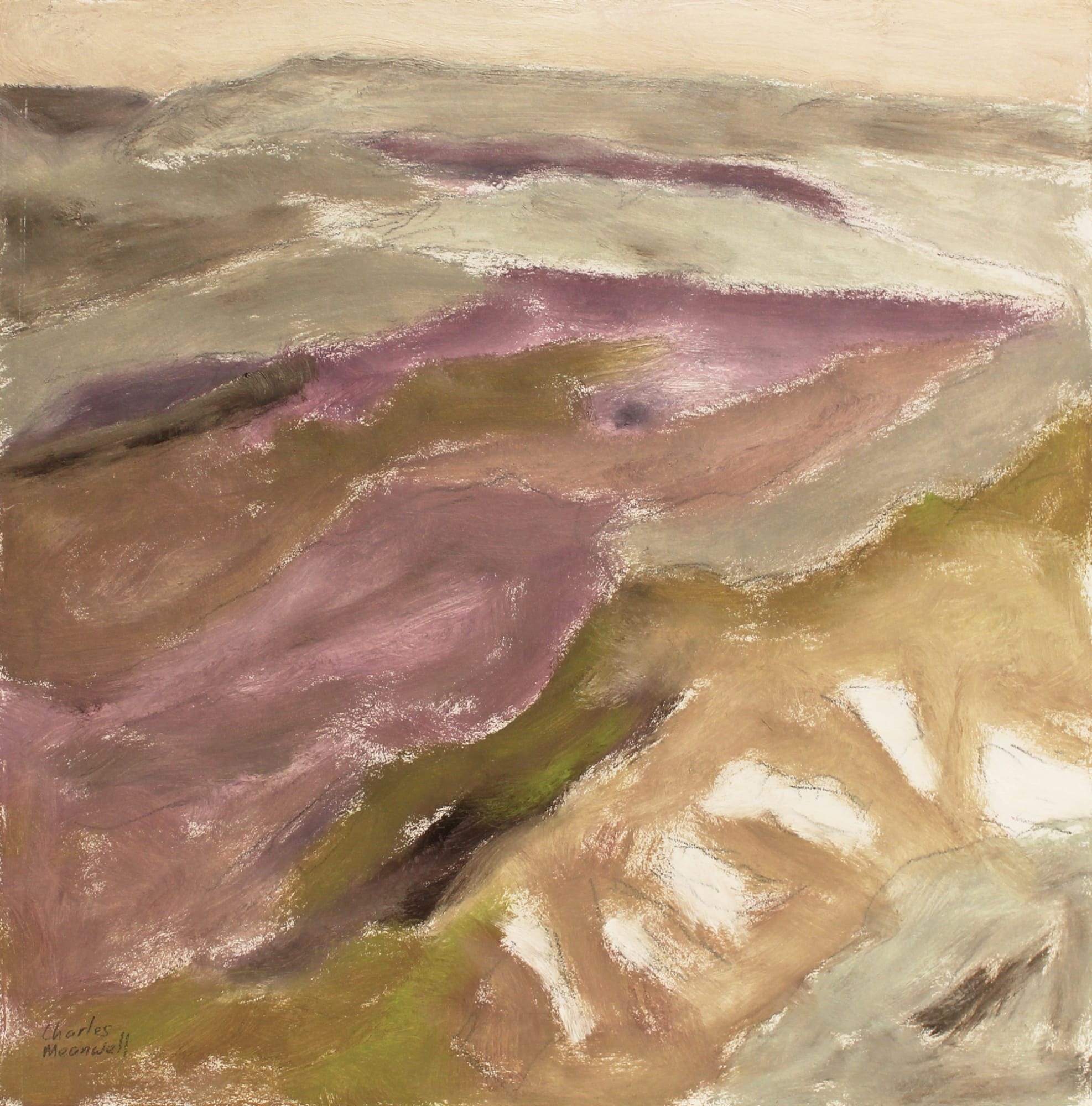 Charles Meanwell, White Patches II, 2022