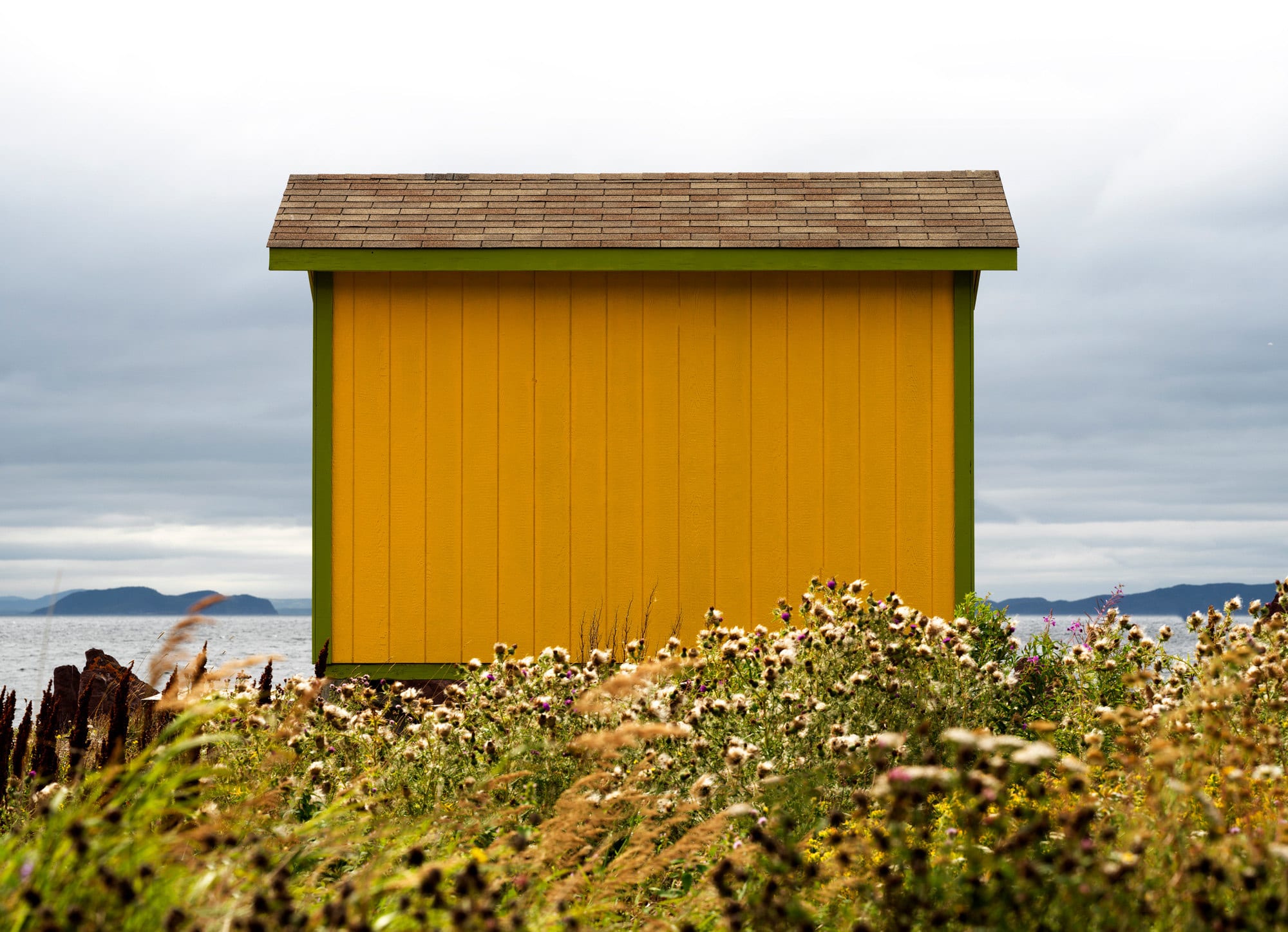 Ned Pratt, Yellow Room at Red Cove, 2023
