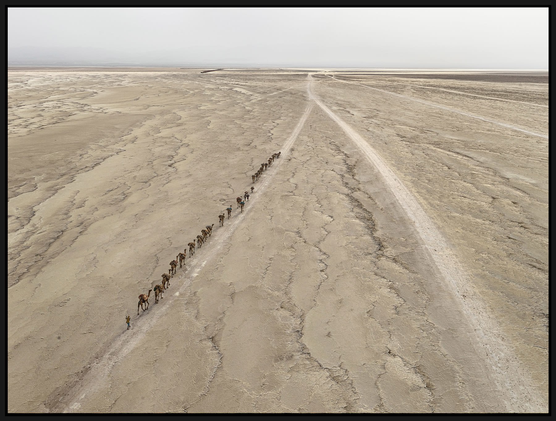 Edward Burtynsky, Camel Caravan #1, Danakil Depression, Ethiopia, 2018
