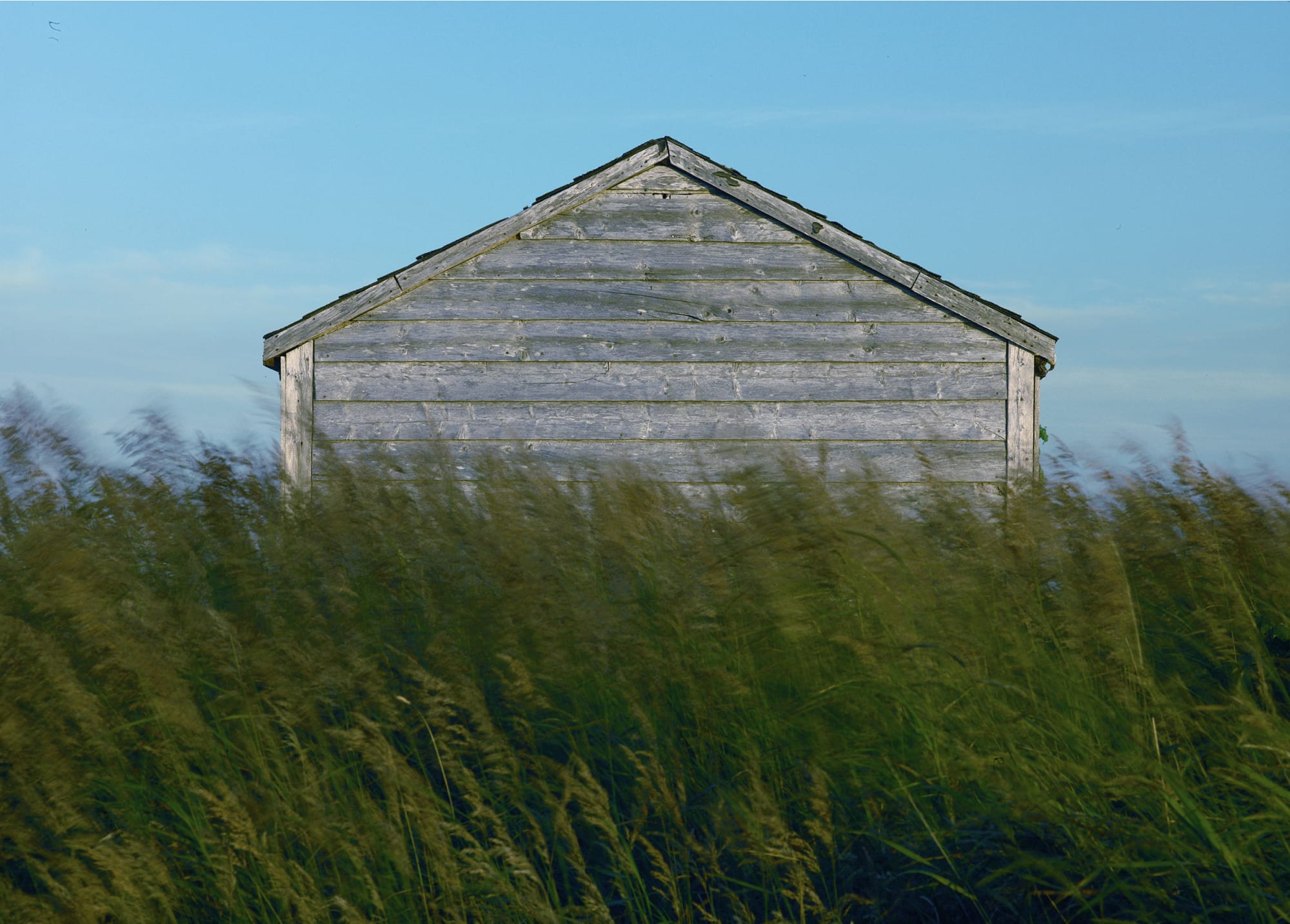 Ned Pratt, Southeast Wind, 2019