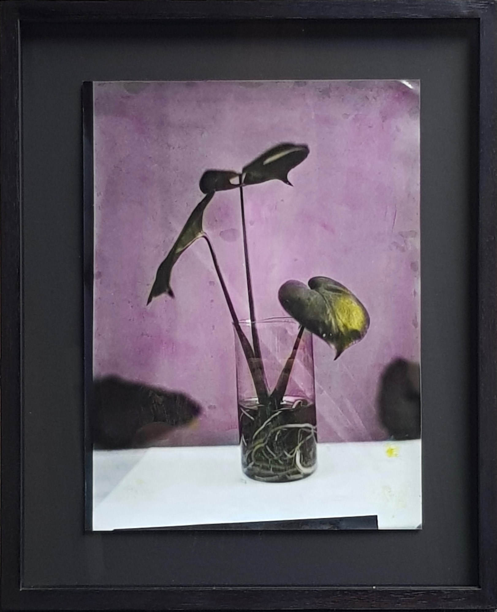 Fabrizio Biviano, Untitled V, 2022