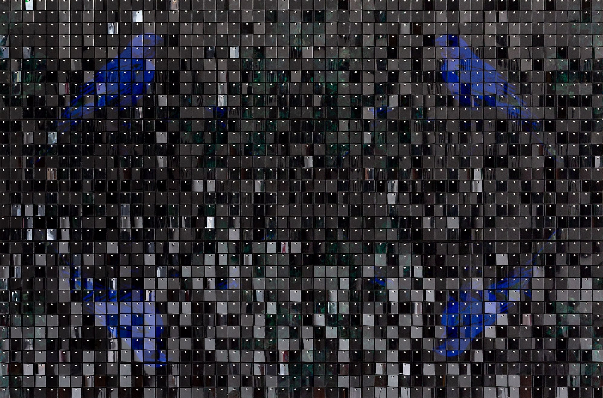 Konstantin Dimopoulos, There is a bluebird in my heart , 2024