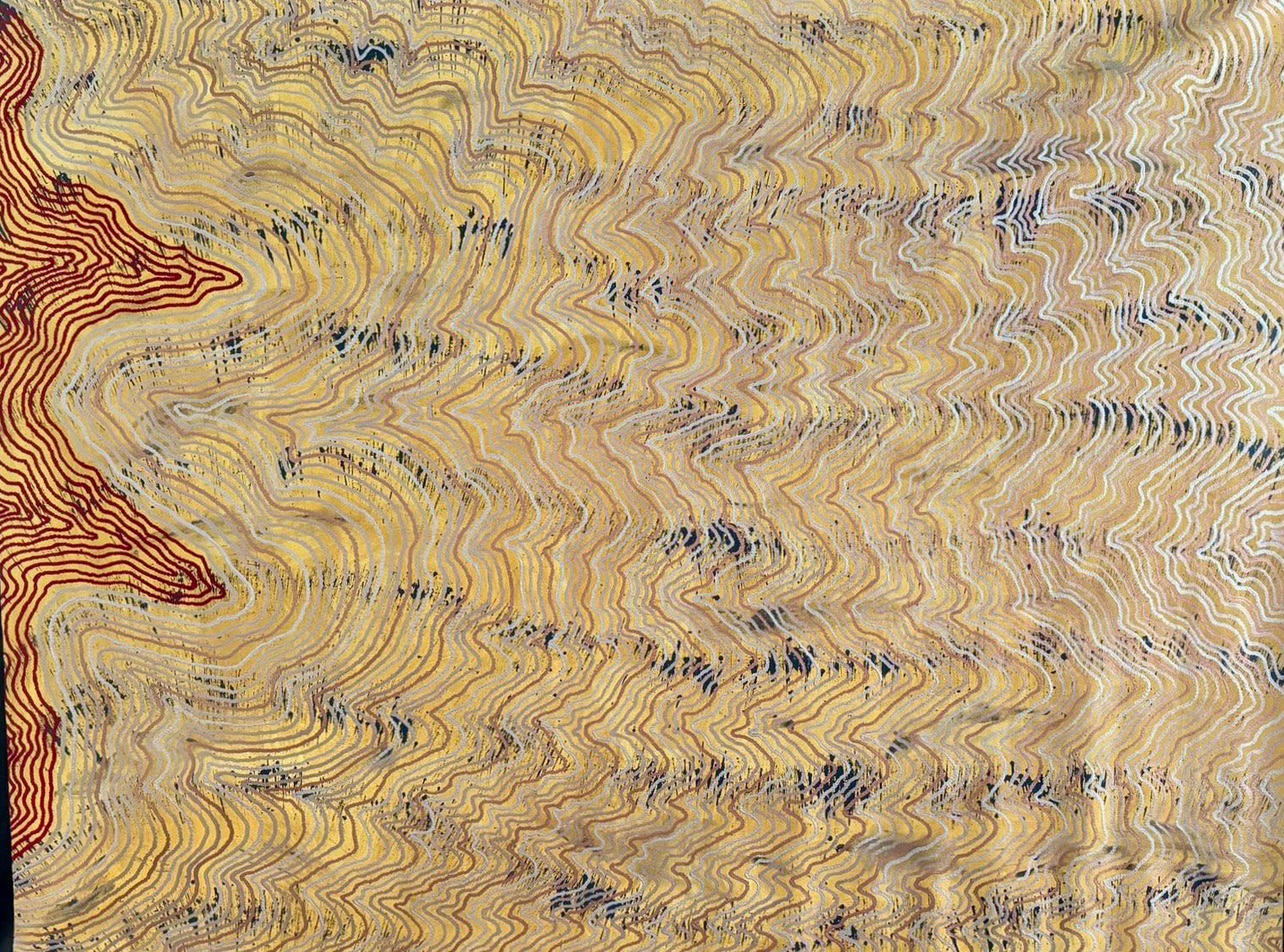 Robby Wirramanda, Walpa [to burn] #5, 2024