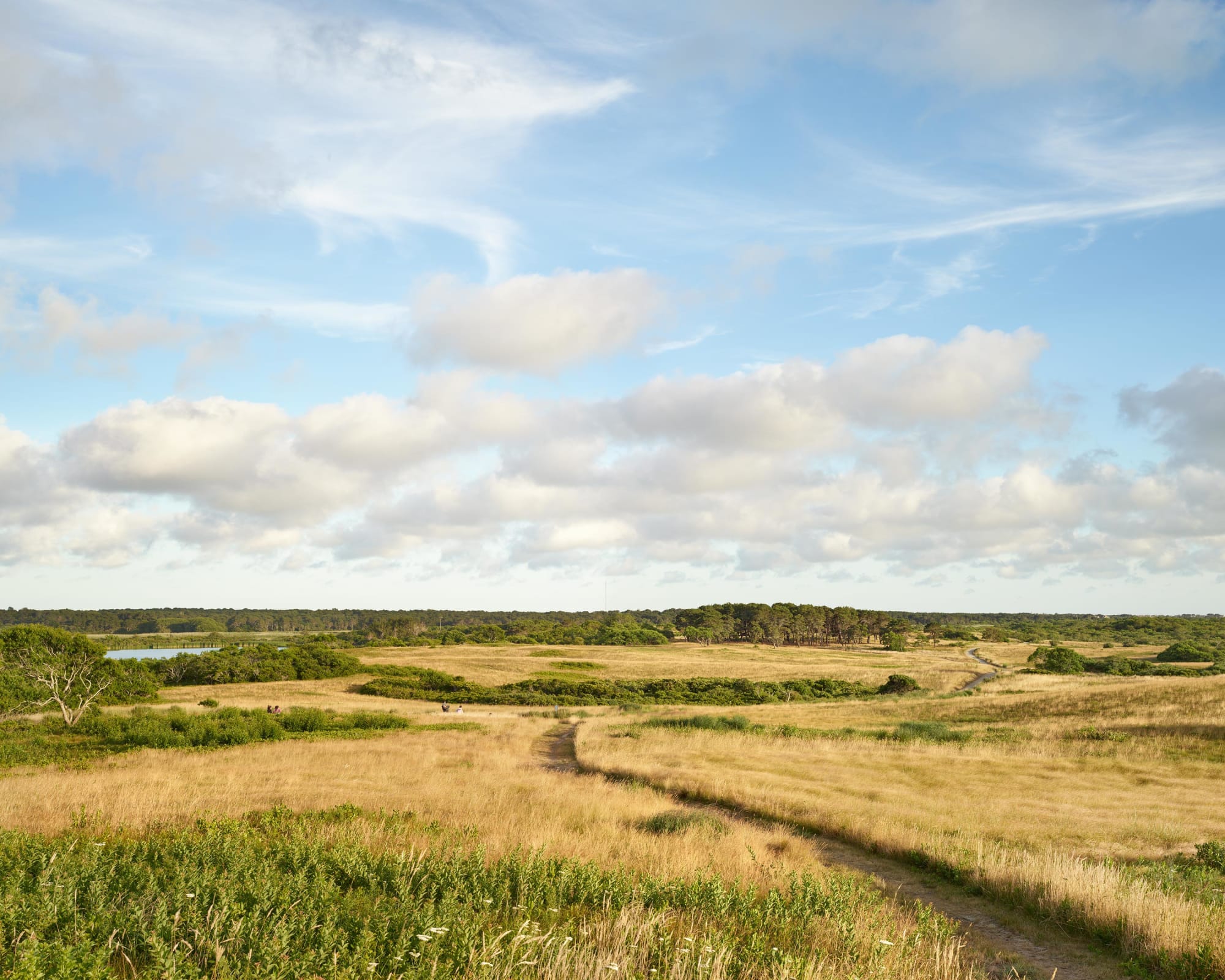 Michael Gaillard, Sanford Farm Lookout
