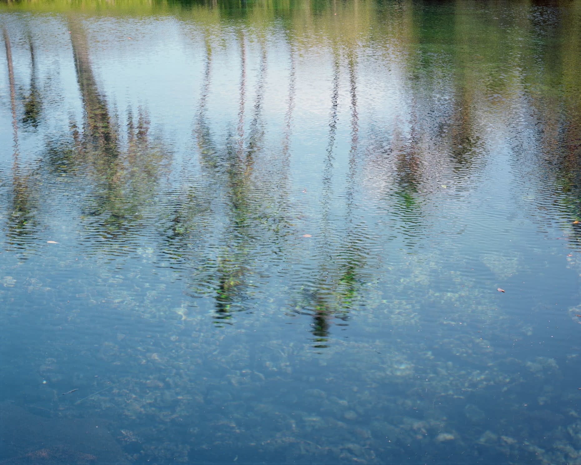 Michael Gaillard, Luahinewai III -G