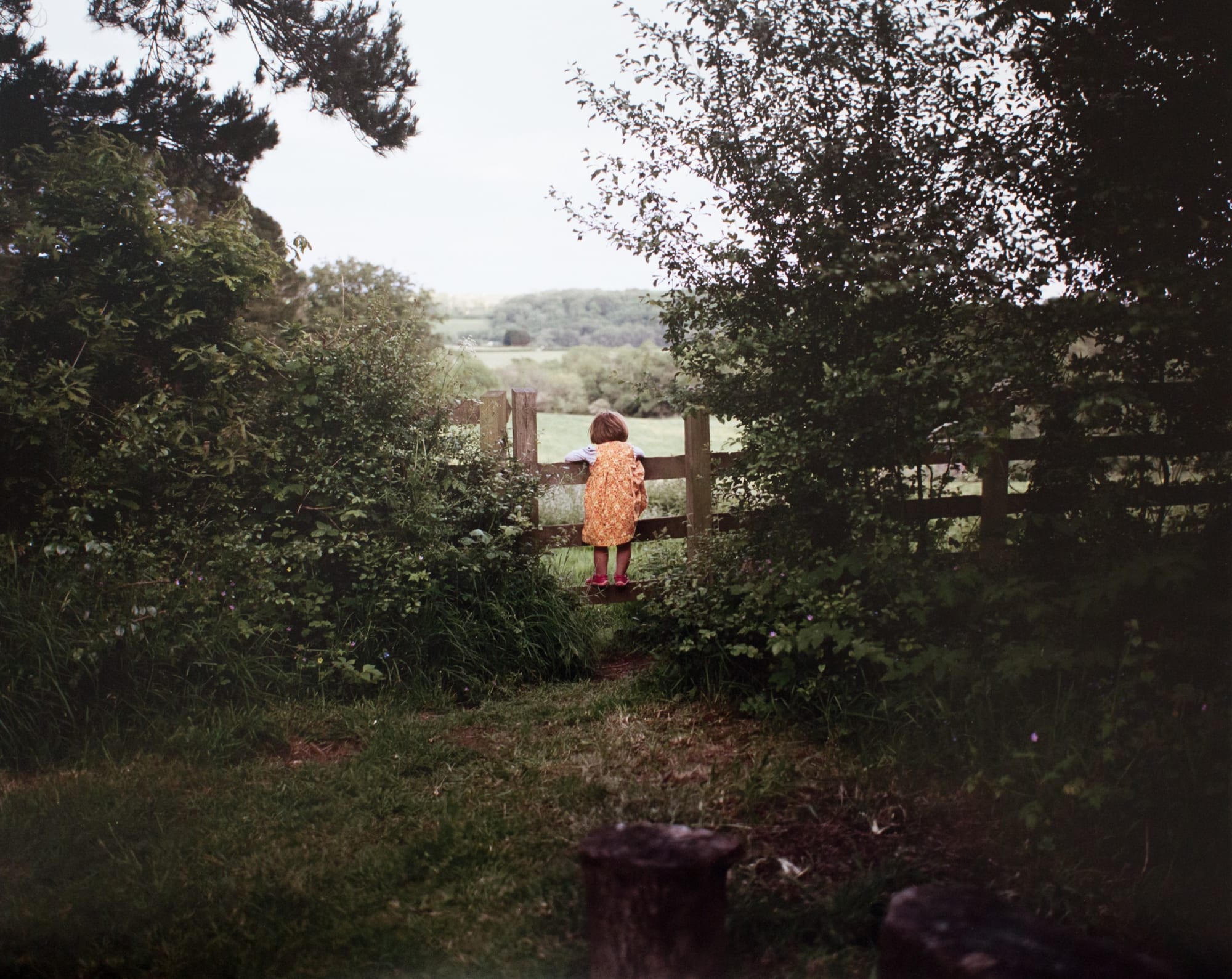 Sian Davey, Garden Gate
