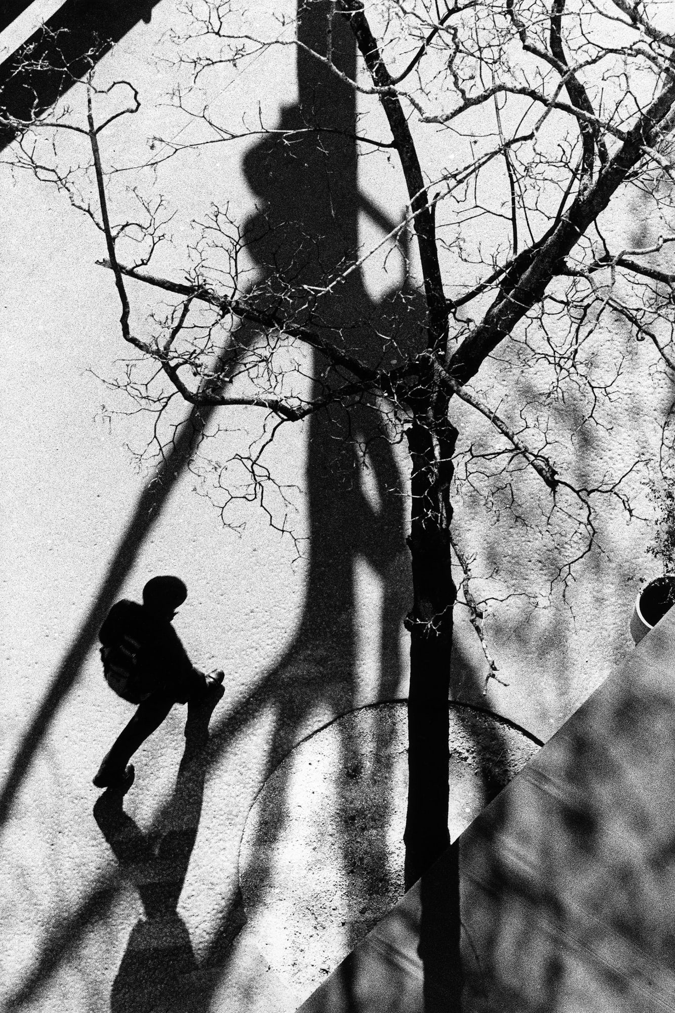 Kit Young, Rive Gauche No. 10, Paris, France, 2022