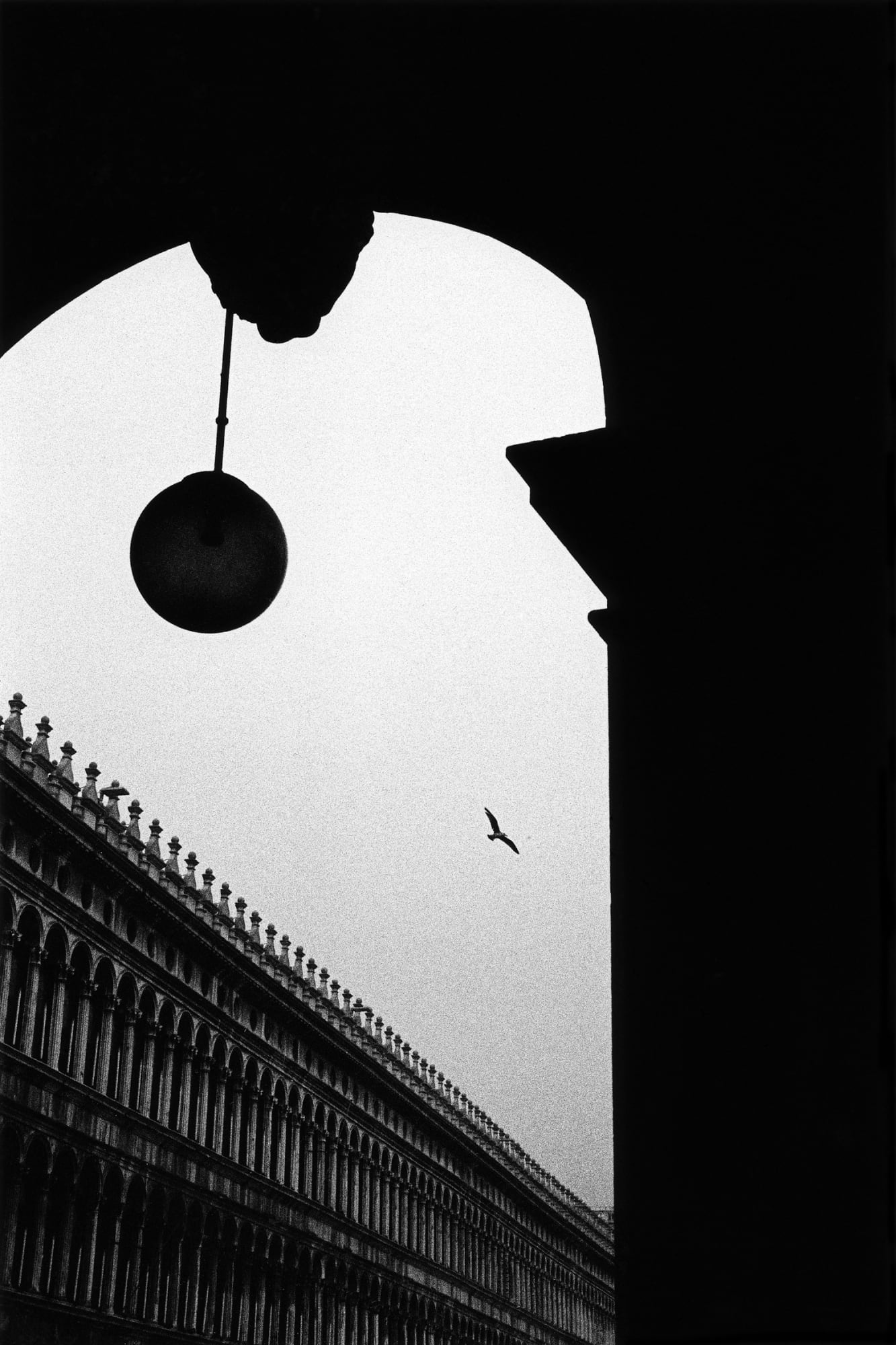 Kit Young, Venice, Italy, 2017