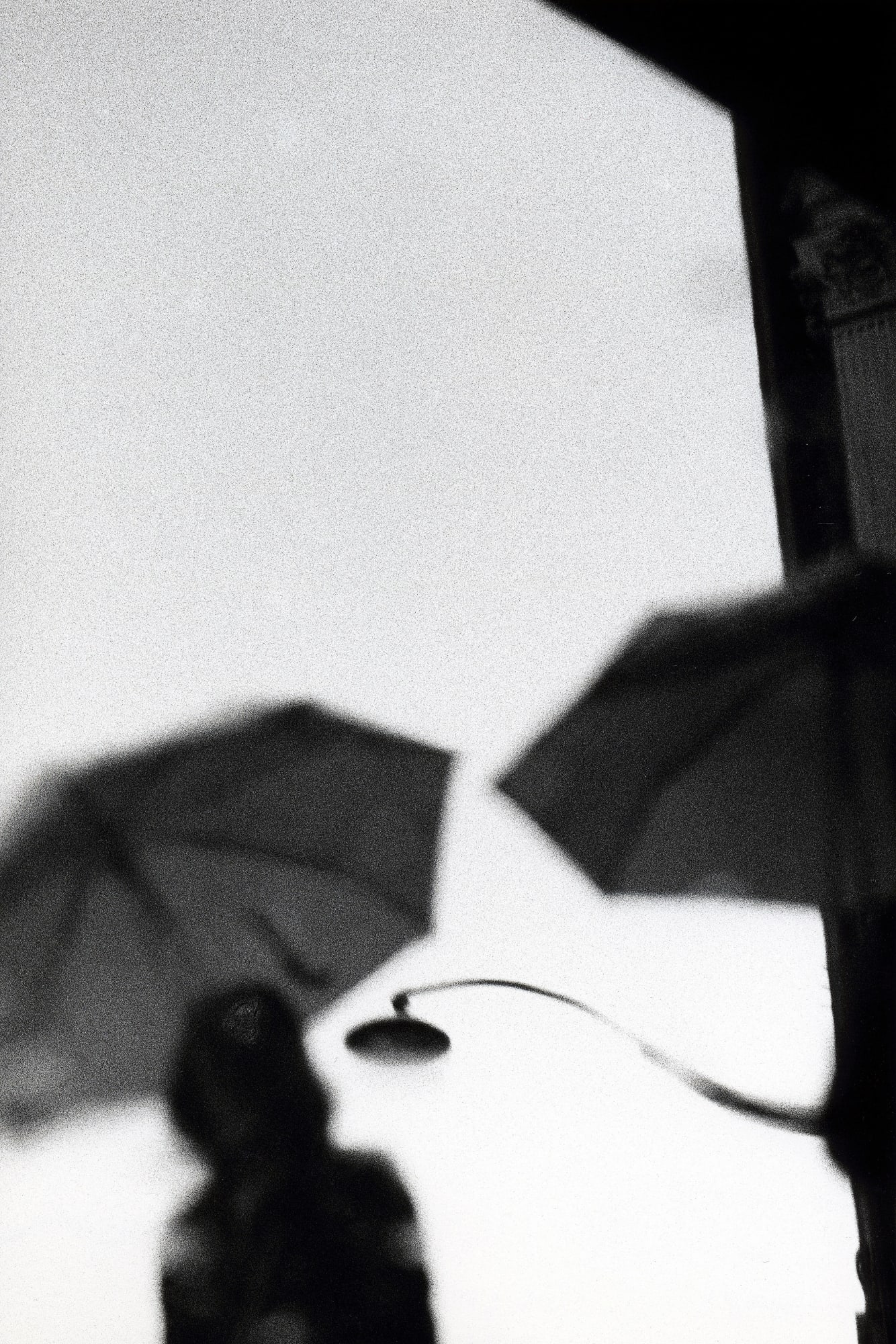 Kit Young, Paris, France, 2019