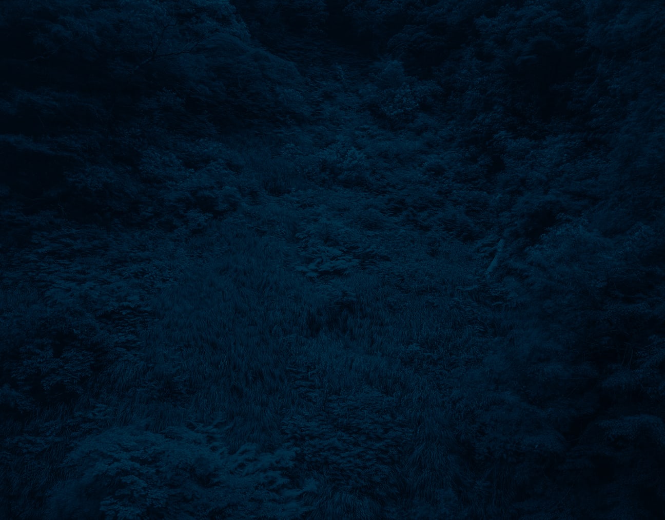 Illuminating Earth 147 - C52 June 3, 2020, 2020