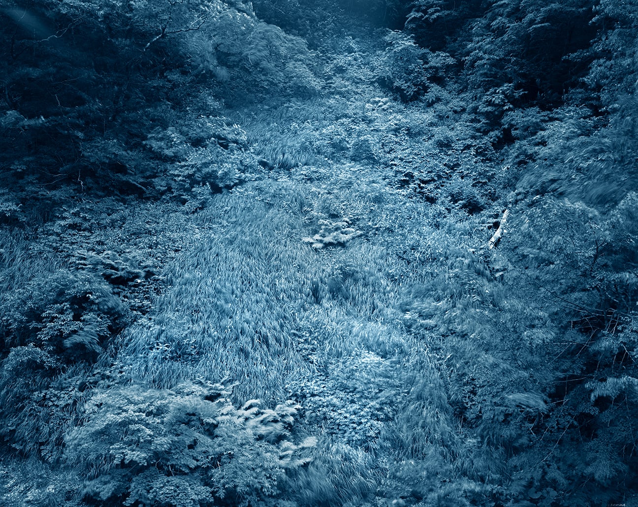 Illuminating Earth 134 - C14 May 1, 2020, 2020