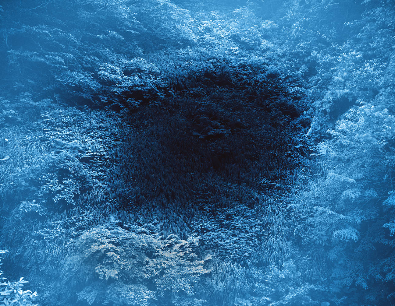 Illuminating Earth 144 - C37 June 2, 2020, 2020